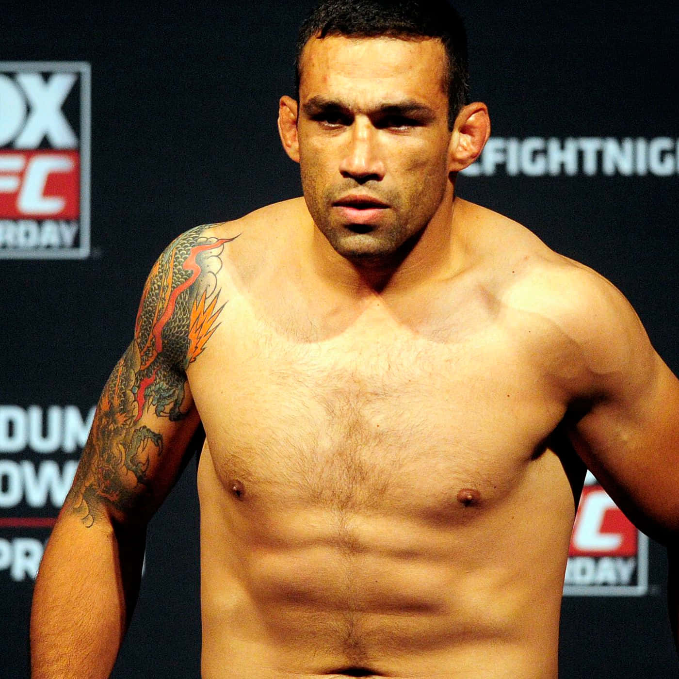 Fabricio Werdum, UFC backdrop, dragon tattoo, HD Desktop Wallpaper