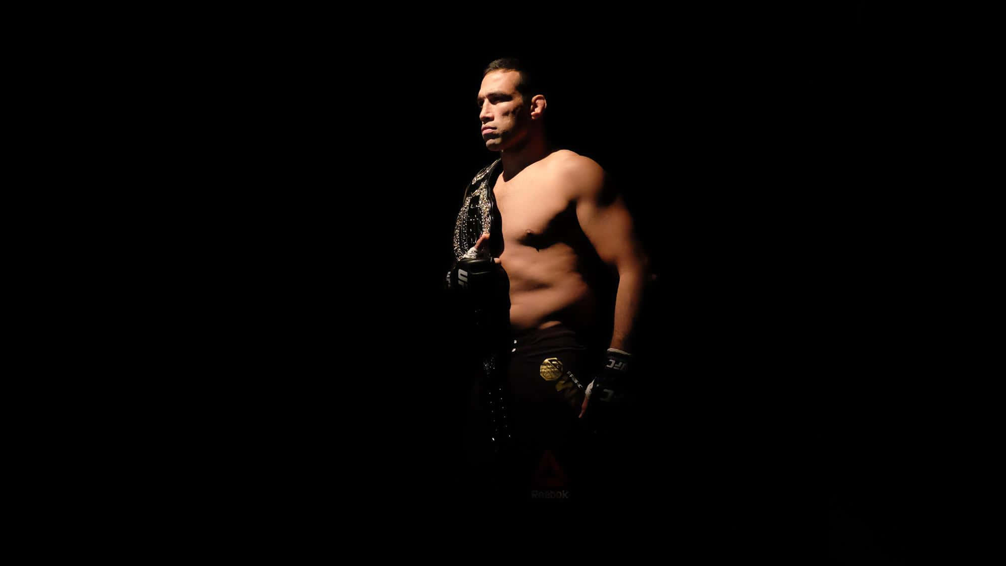 Fabricio Werdum, championship belt, dramatic spotlight, Full HD Desktop Wallpaper