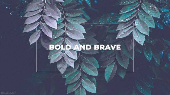 bold and brave, dark teal leaves, water droplets, SD Desktop Wallpaper