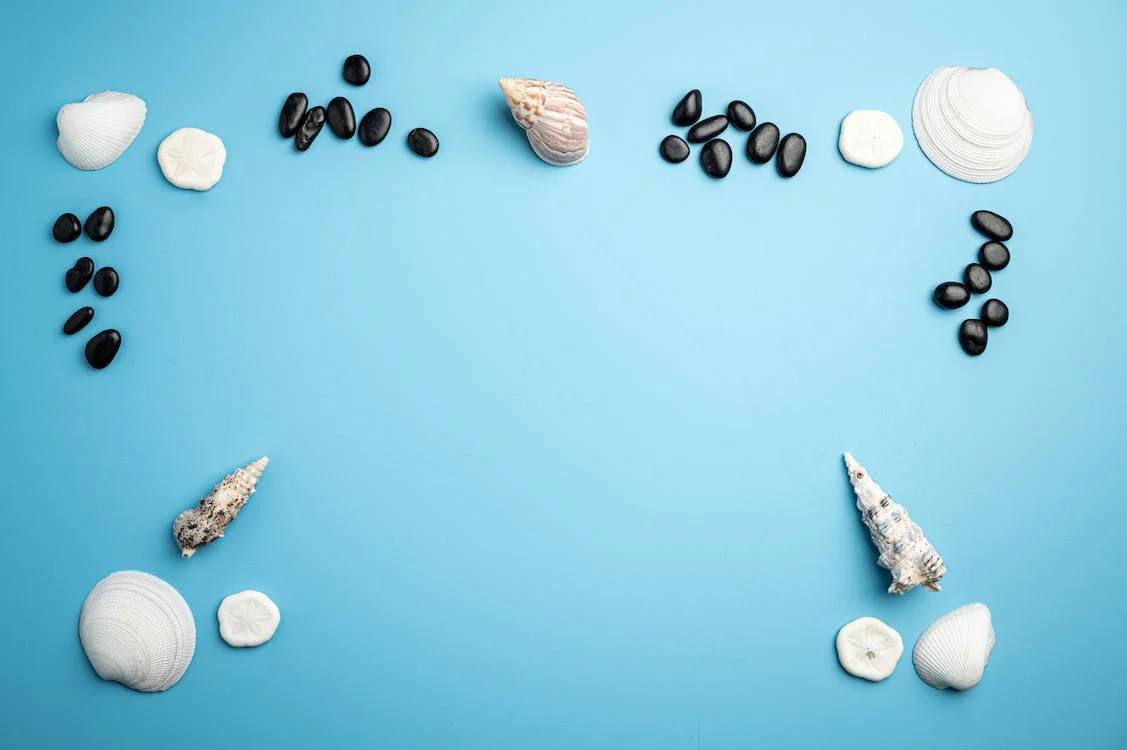 shells and pebbles, white seashells, black stones, SD Desktop Wallpaper