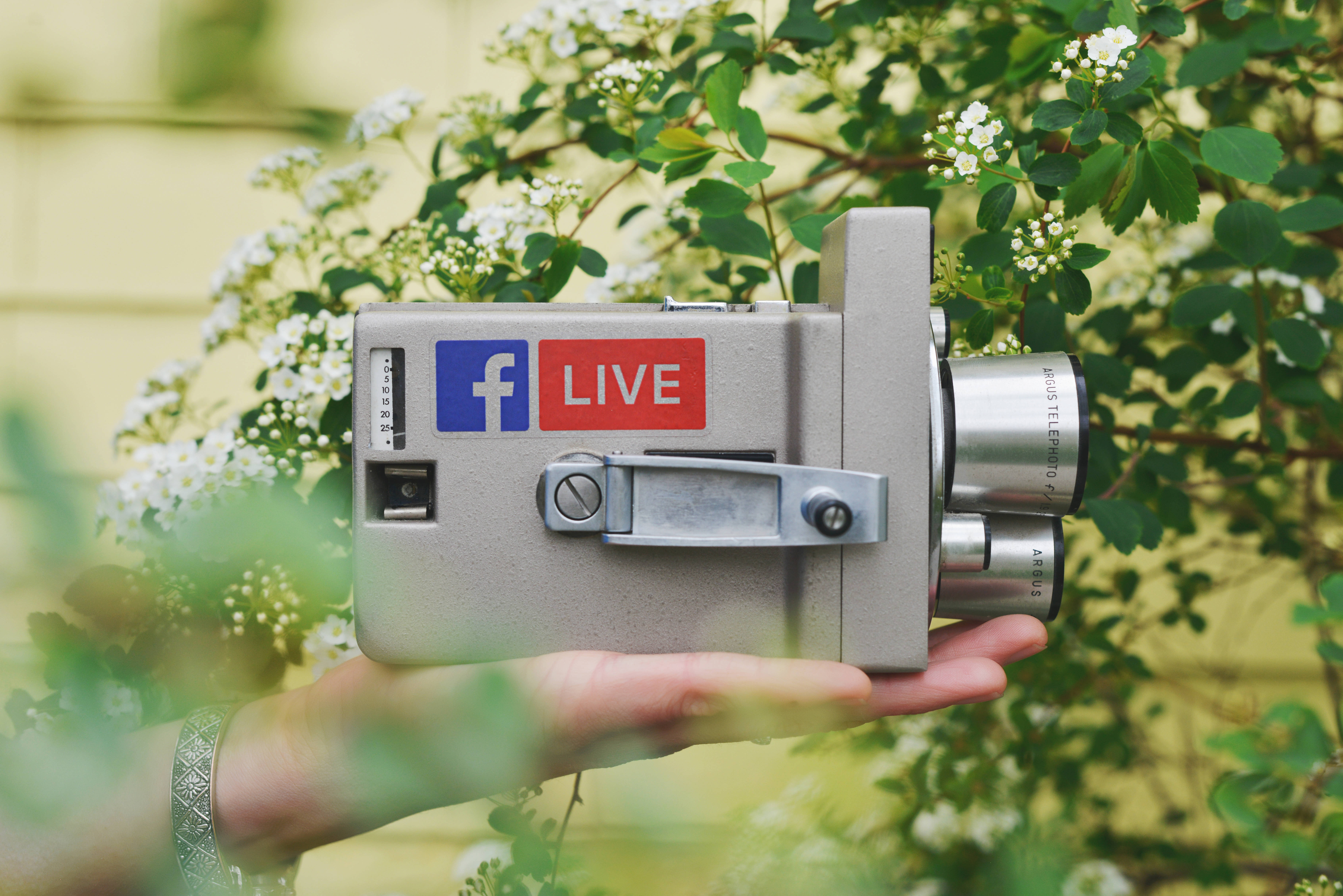 Facebook Live sticker, vintage silver camera, green foliage, 5K Desktop Wallpaper
