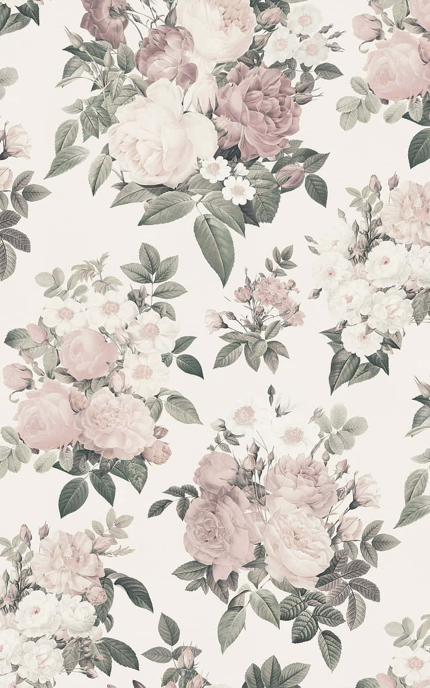 vintage flower, soft pink, white roses, HD Phone Wallpaper