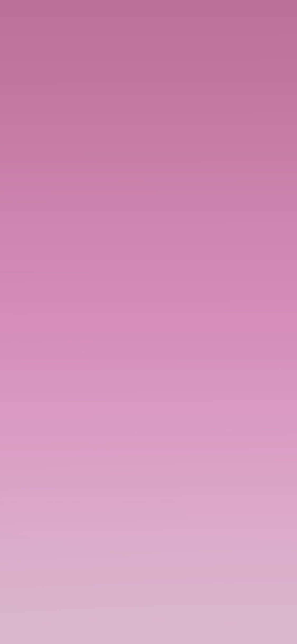 soft pink, deep rose, pale blush, Full HD Phone Wallpaper