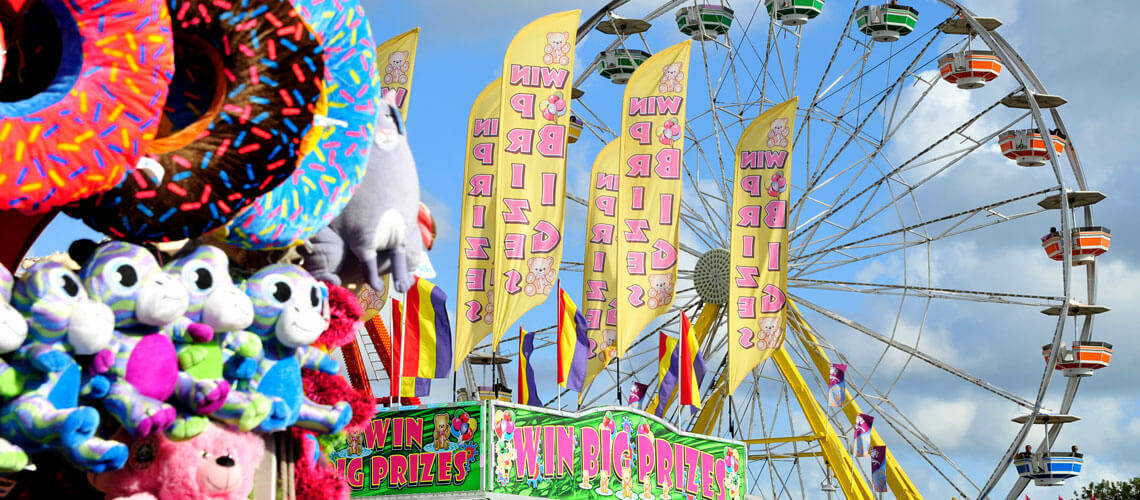 carnival scene, giant donut prizes, plush toys, SD Desktop Wallpaper
