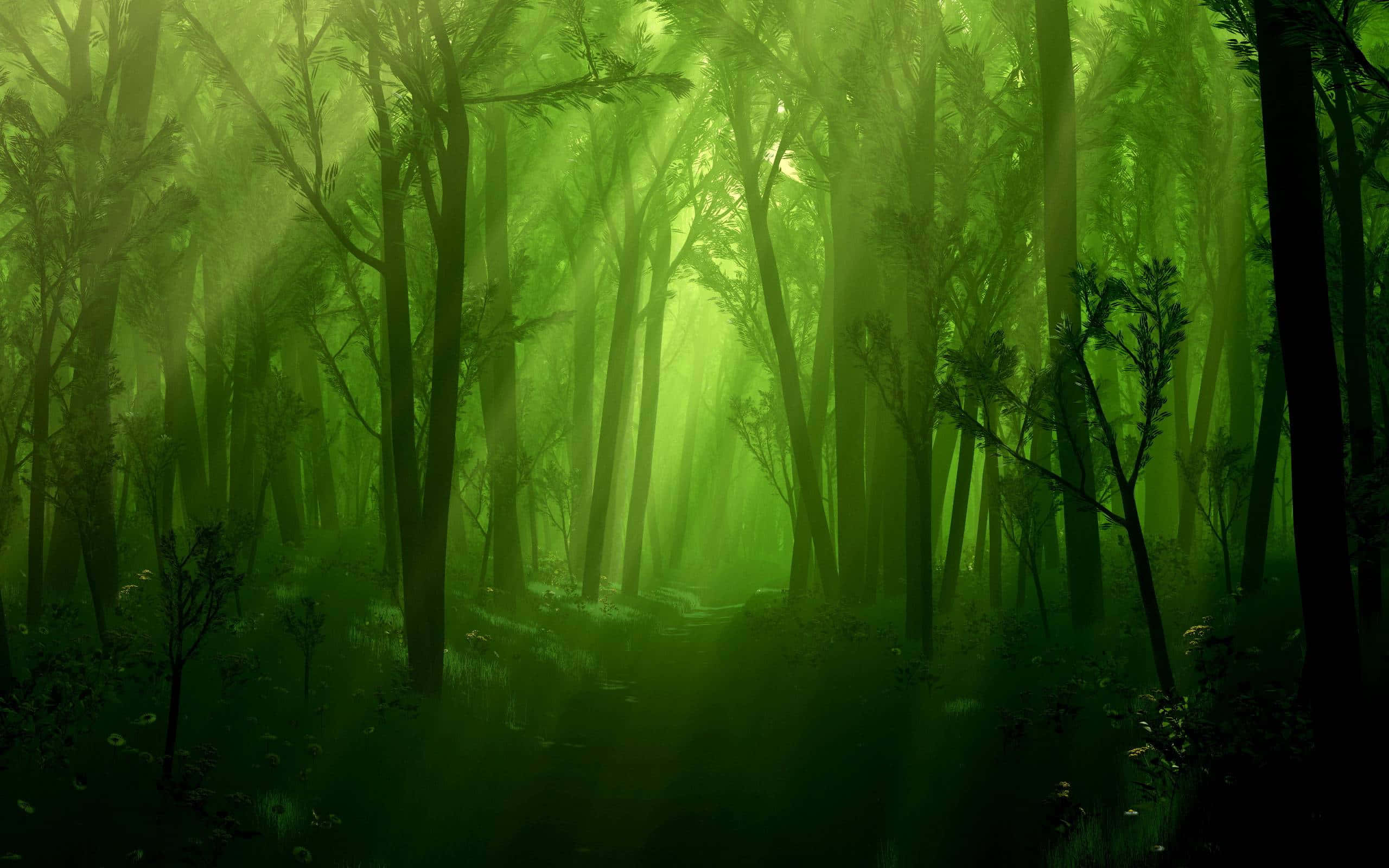 Fairy Forest, green forest, sunlight, 2K Desktop Wallpaper
