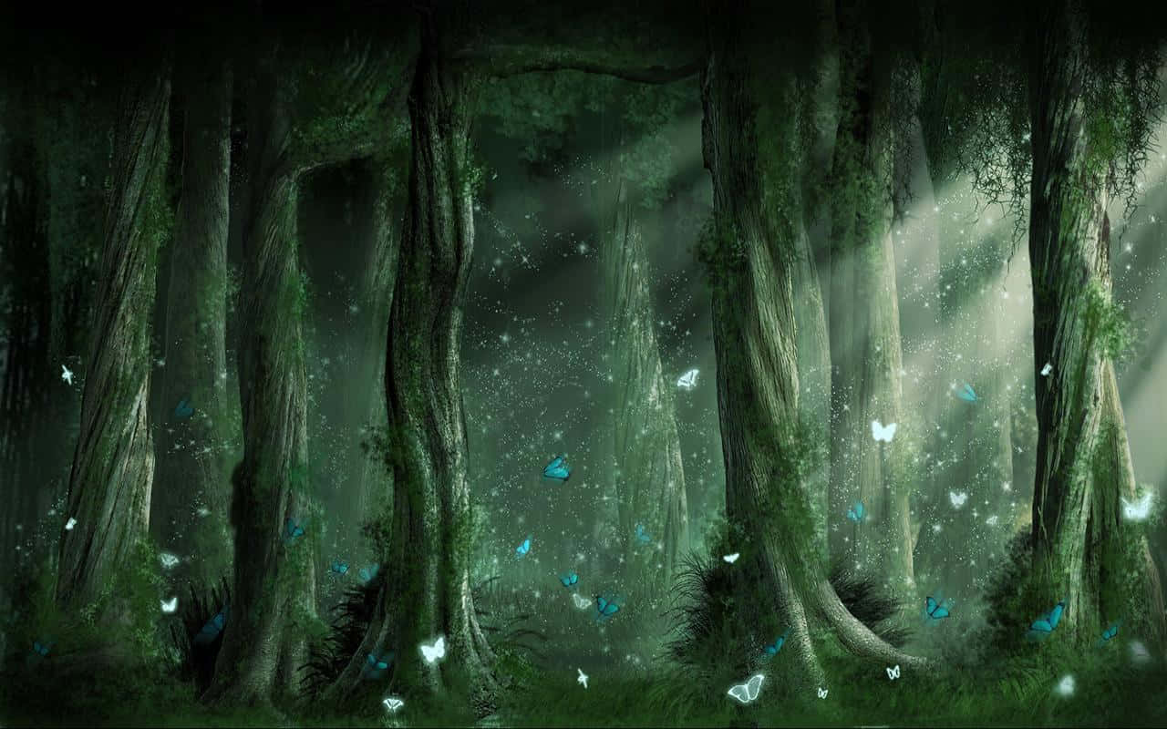 Fairy Forest, sunrise, ancient trees, HD Desktop Wallpaper