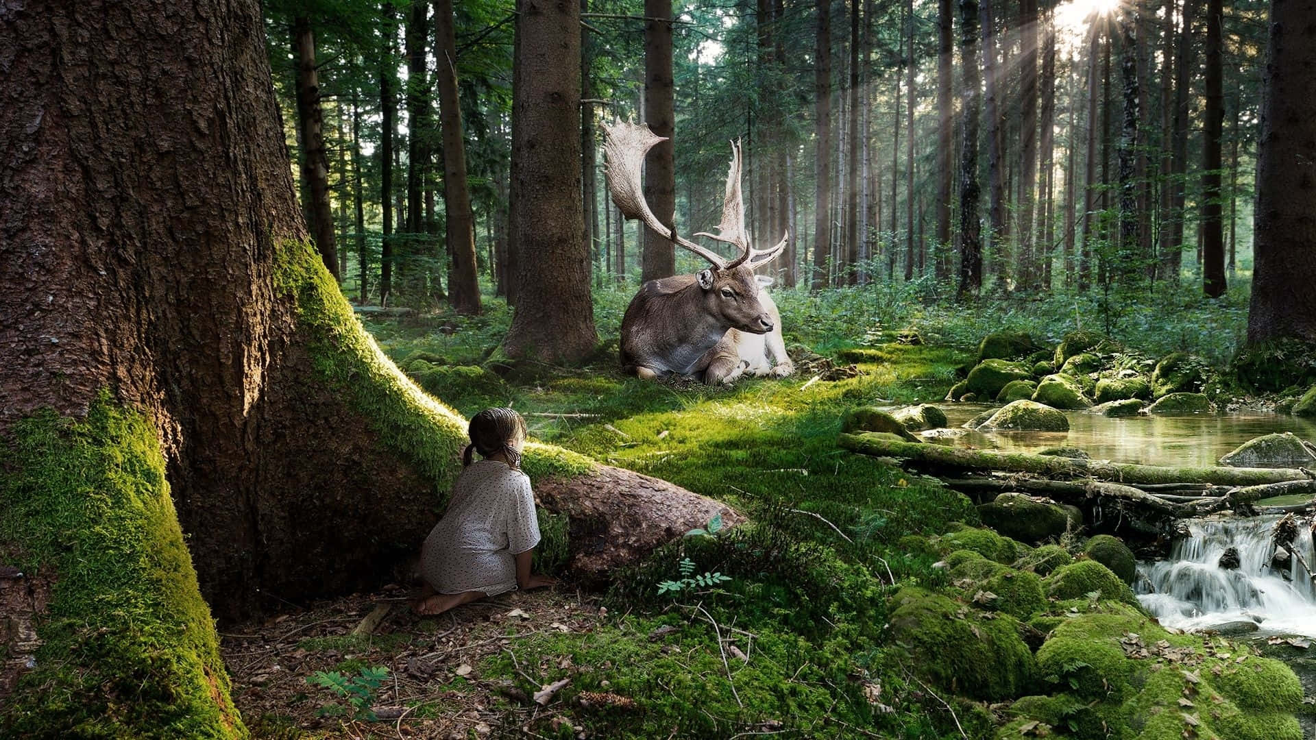 Fairy Forest, mossy tree trunk, majestic deer, Full HD Desktop Wallpaper