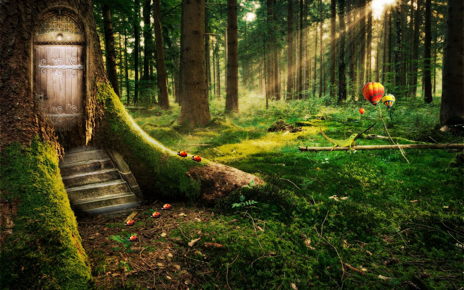 Fairy Forest, mossy tree trunk, sunlit enchanted forest, Full HD Desktop Wallpaper