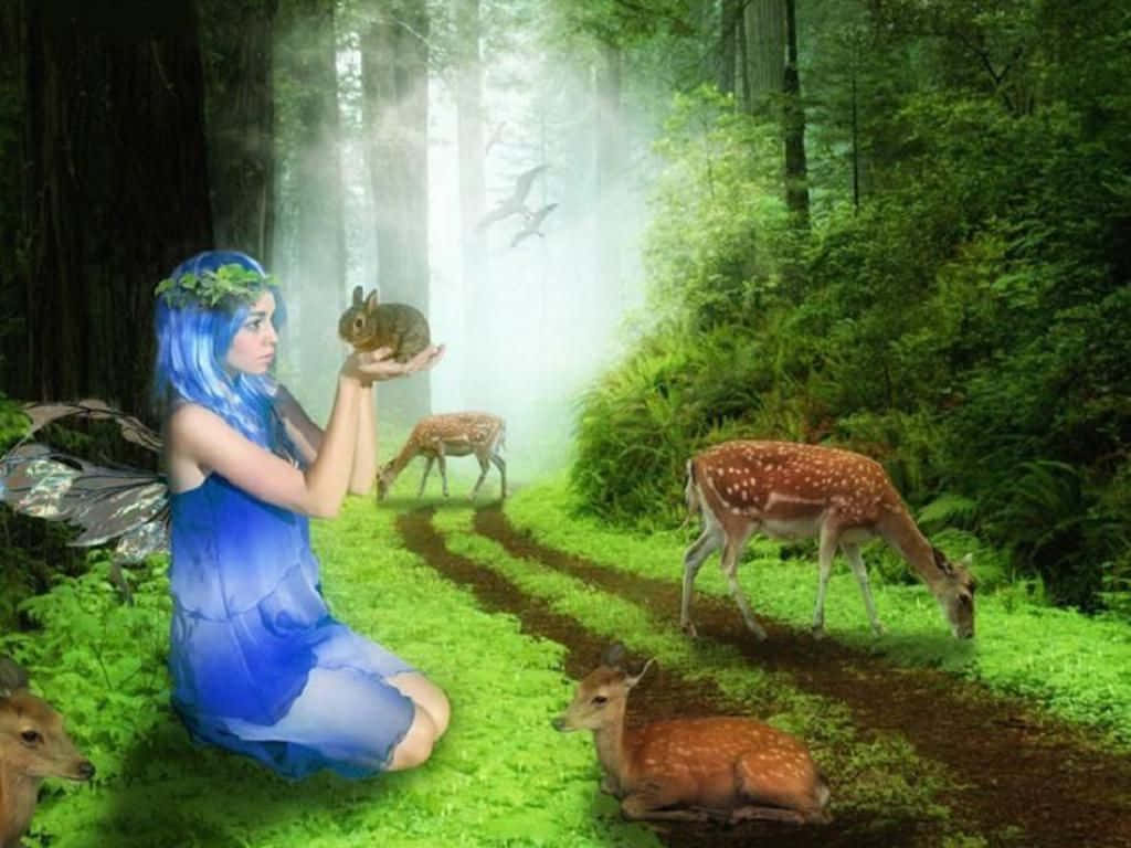 Fairy Forest, blue-haired fairy, butterfly wings, SD Desktop Wallpaper