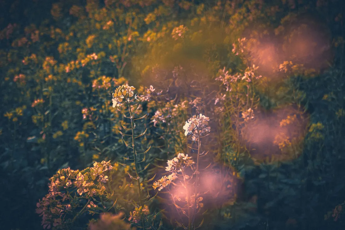 Fairy Grunge Aesthetic
