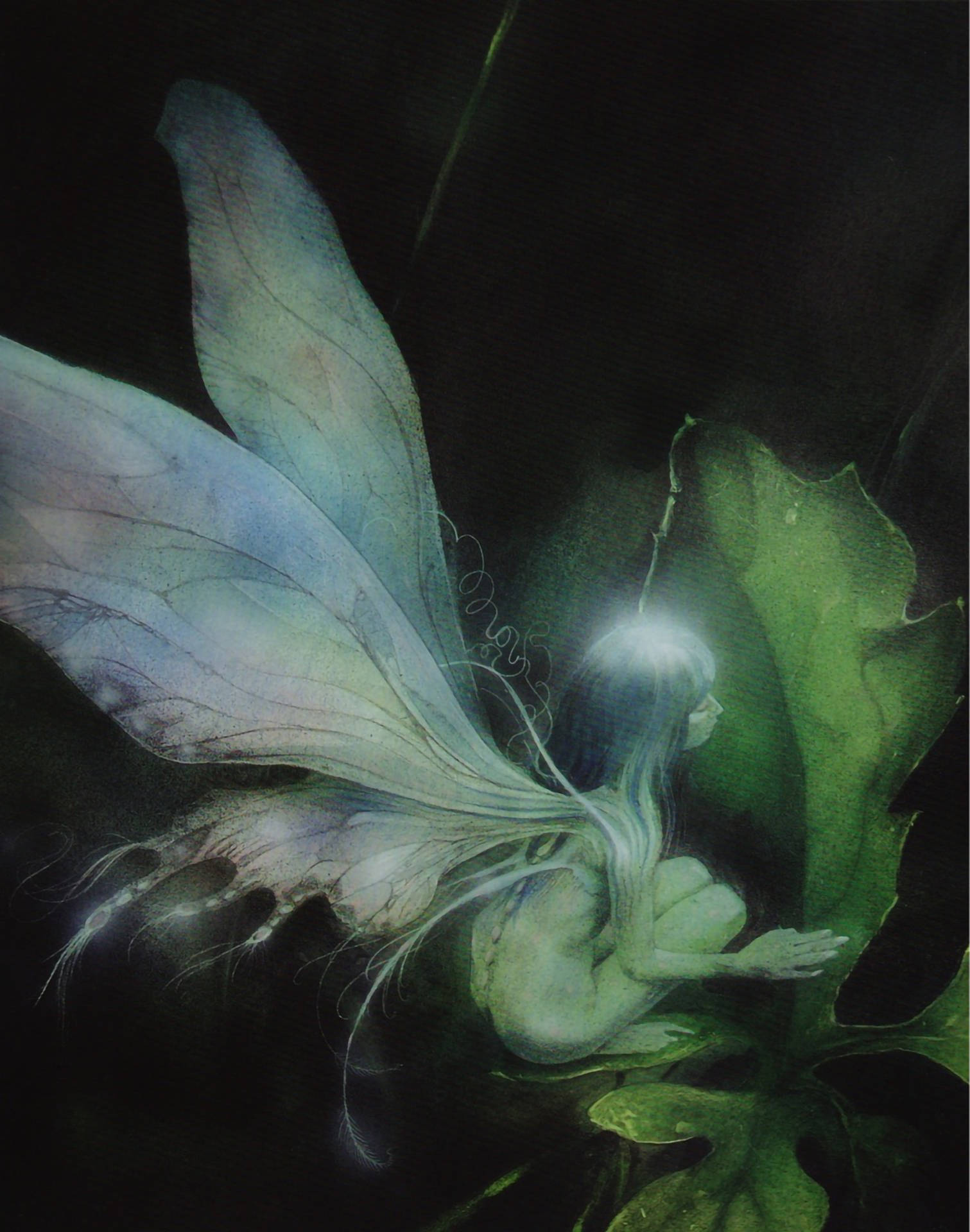 Fairy Grunge, translucent blue wings, large green leaf, Full HD Phone Wallpaper