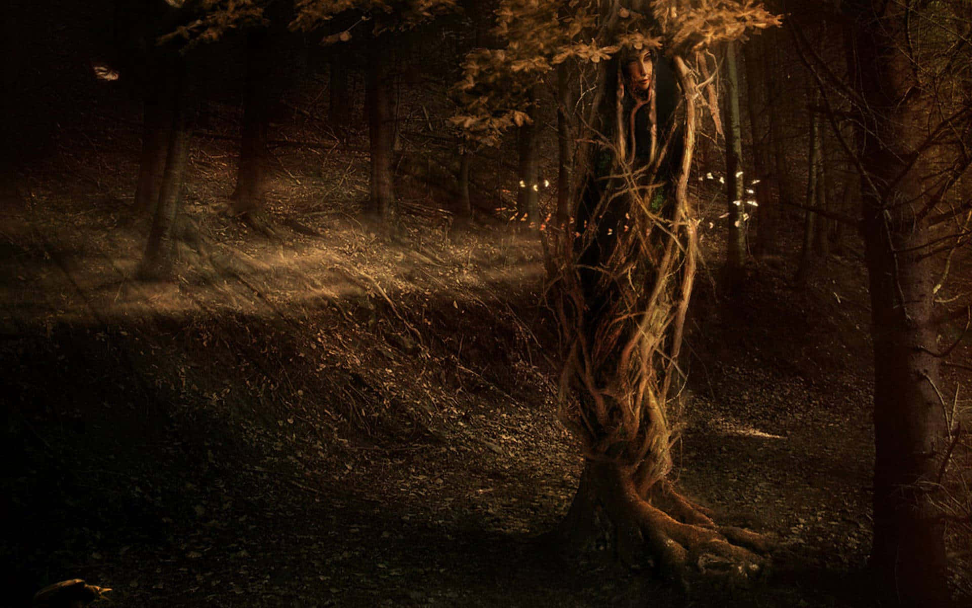enchanted forest, misty forest, golden light, Full HD Desktop Wallpaper