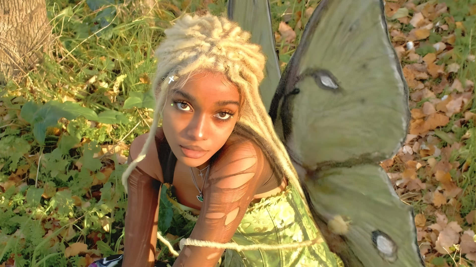 blonde dreadlocks, large green butterfly wings, sunlit forest floor, Full HD Desktop Wallpaper