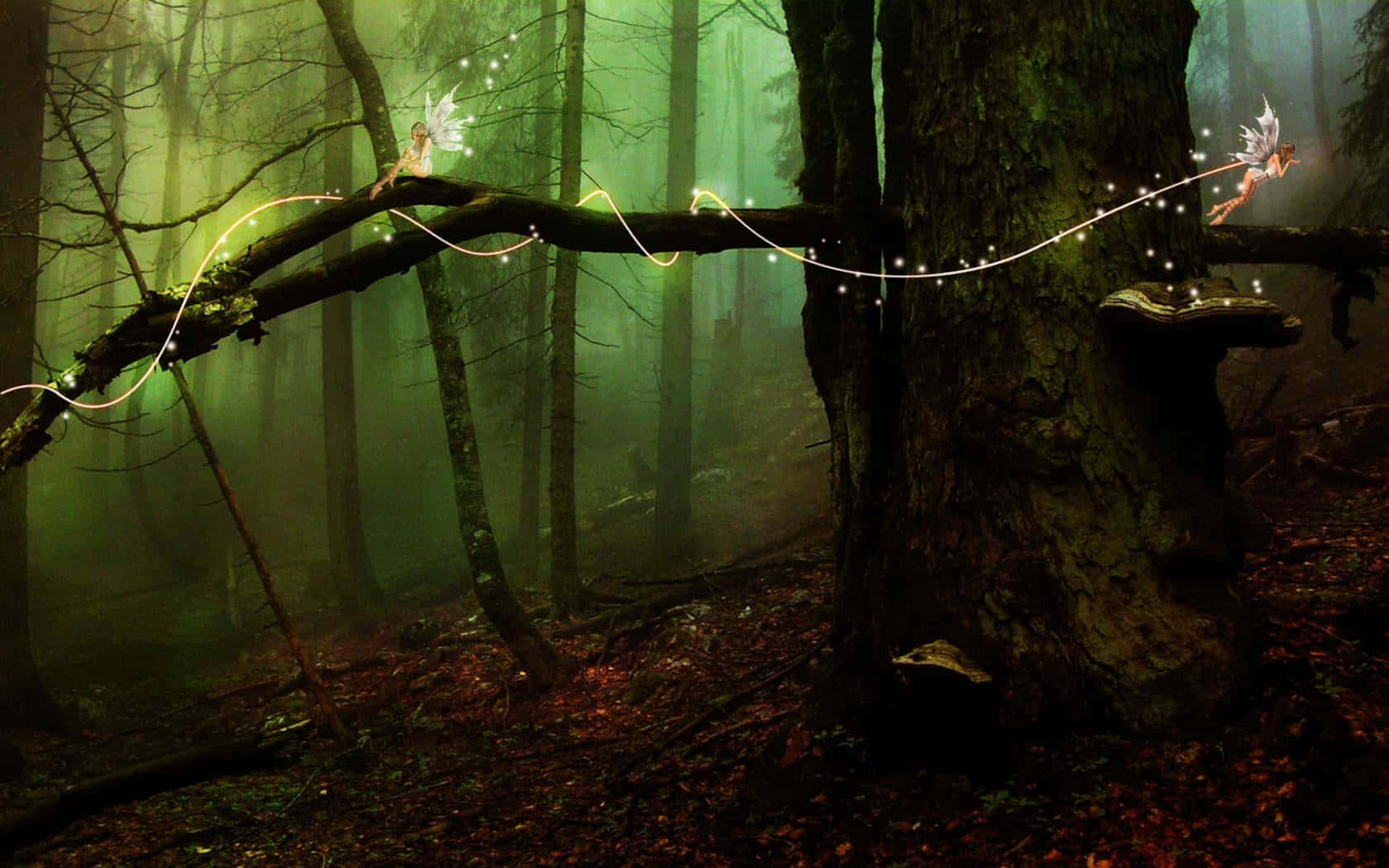 enchanted forest fairies, glowing fairies, translucent wings, HD Desktop Wallpaper