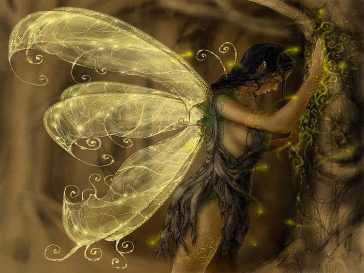 enchanted forest, fairy, translucent golden wings, HD Desktop Wallpaper