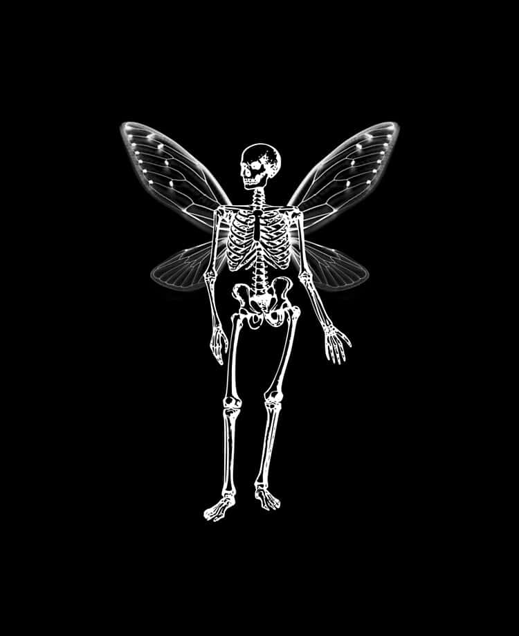 fairy grunge skeleton wings, glowing white skeletal fairy, delicate translucent wings, SD Phone Wallpaper