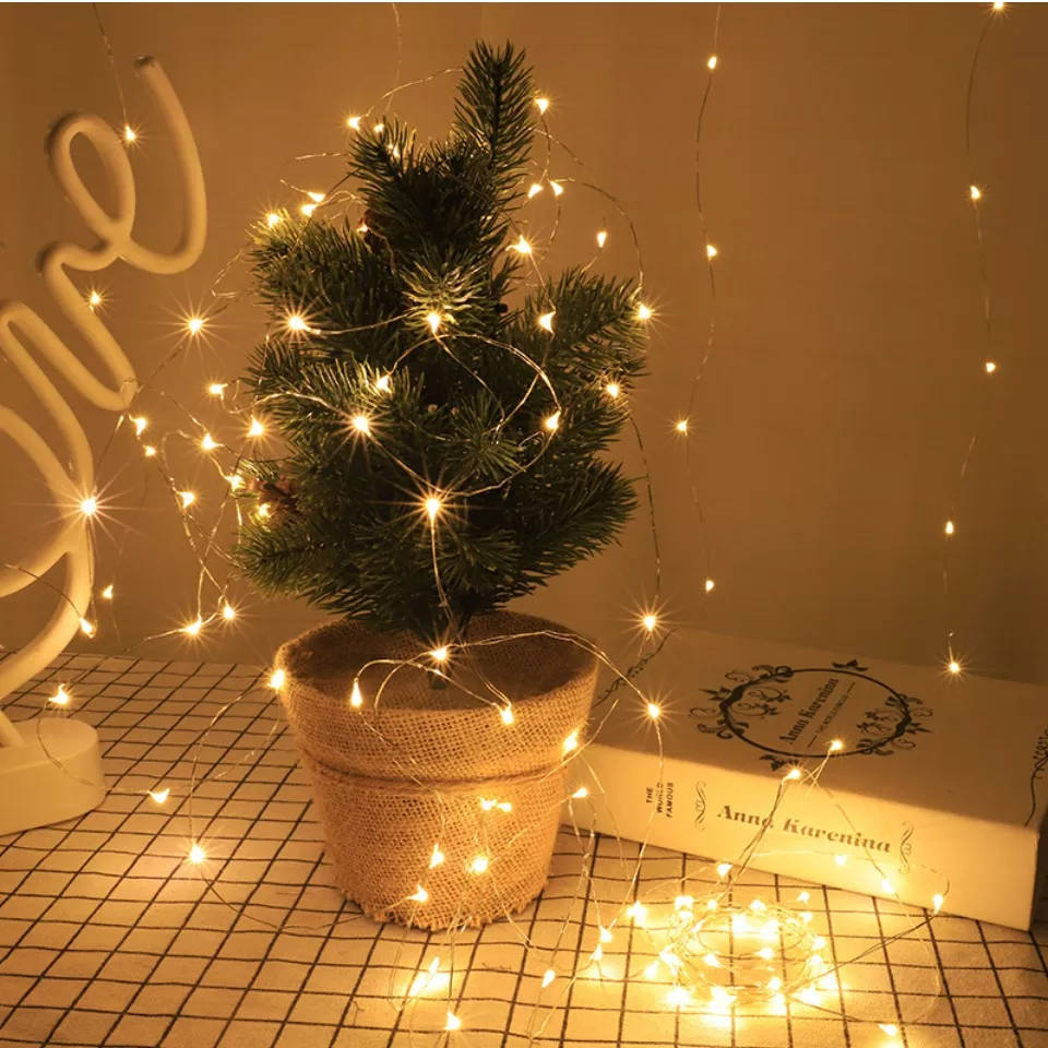 fairy lights, potted evergreen tree, book, SD Desktop Wallpaper