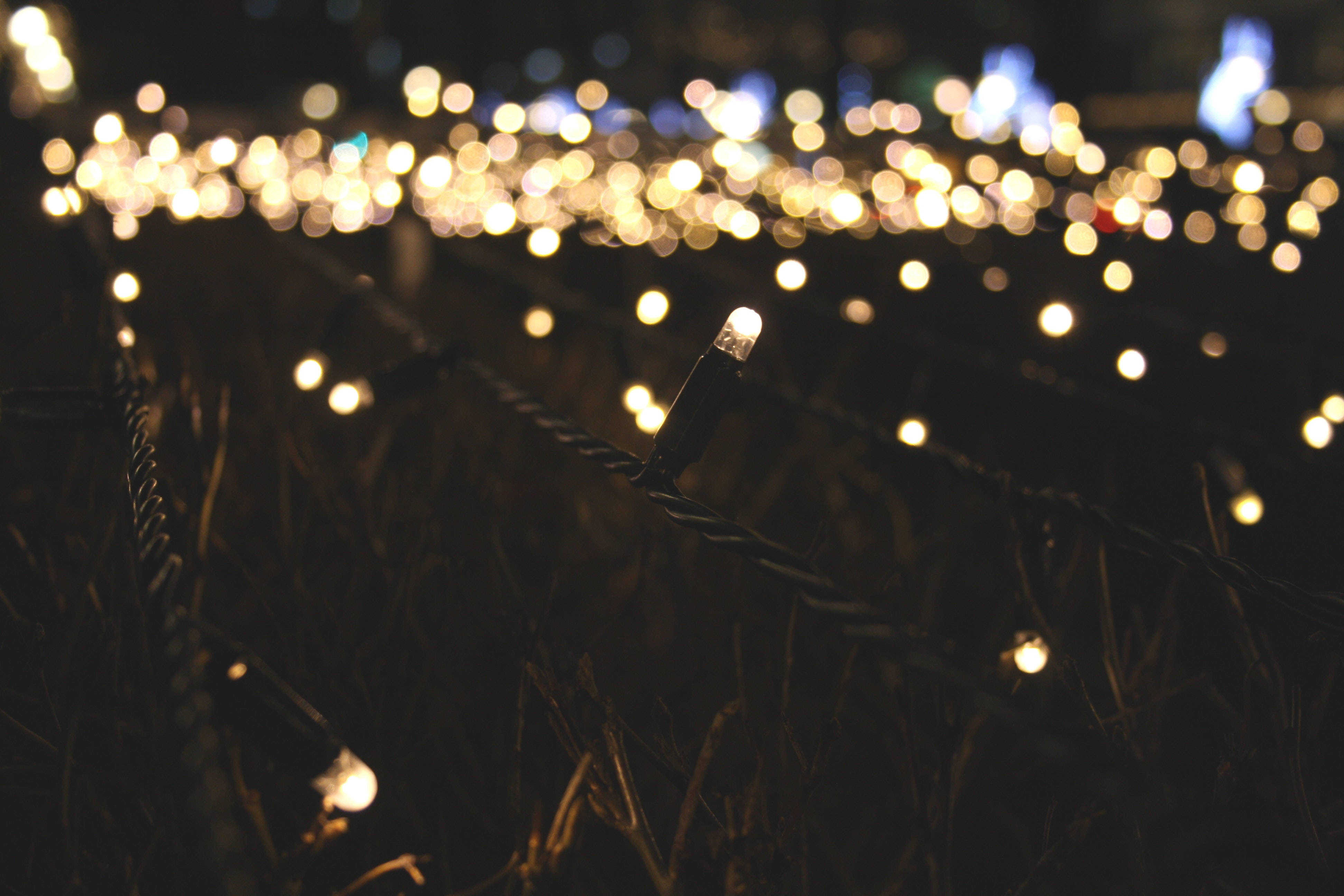 fairy lights aesthetic, glowing string lights, grass, 4K Desktop Wallpaper
