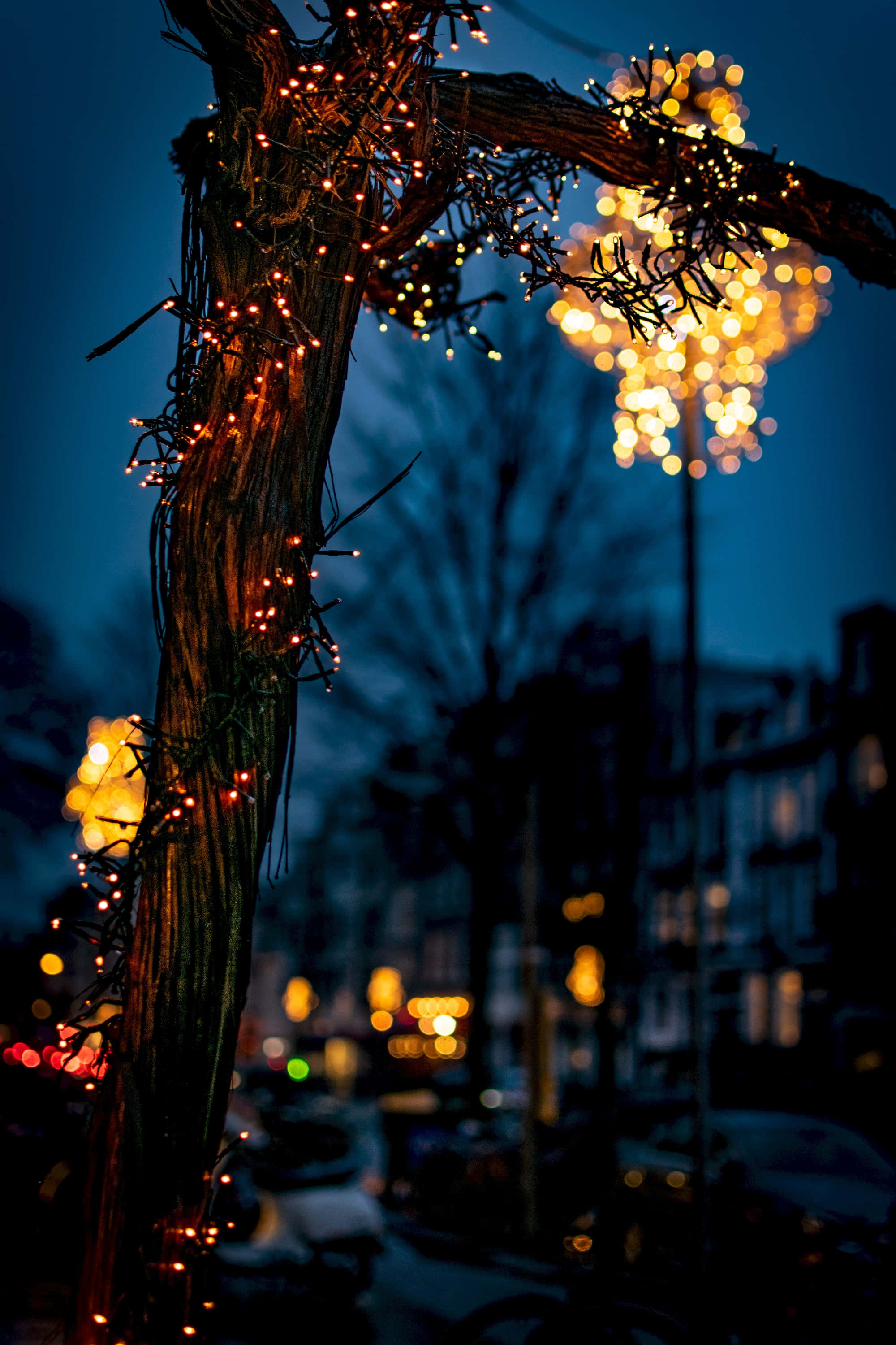 fairy lights, wood, evening, 2K Phone Wallpaper