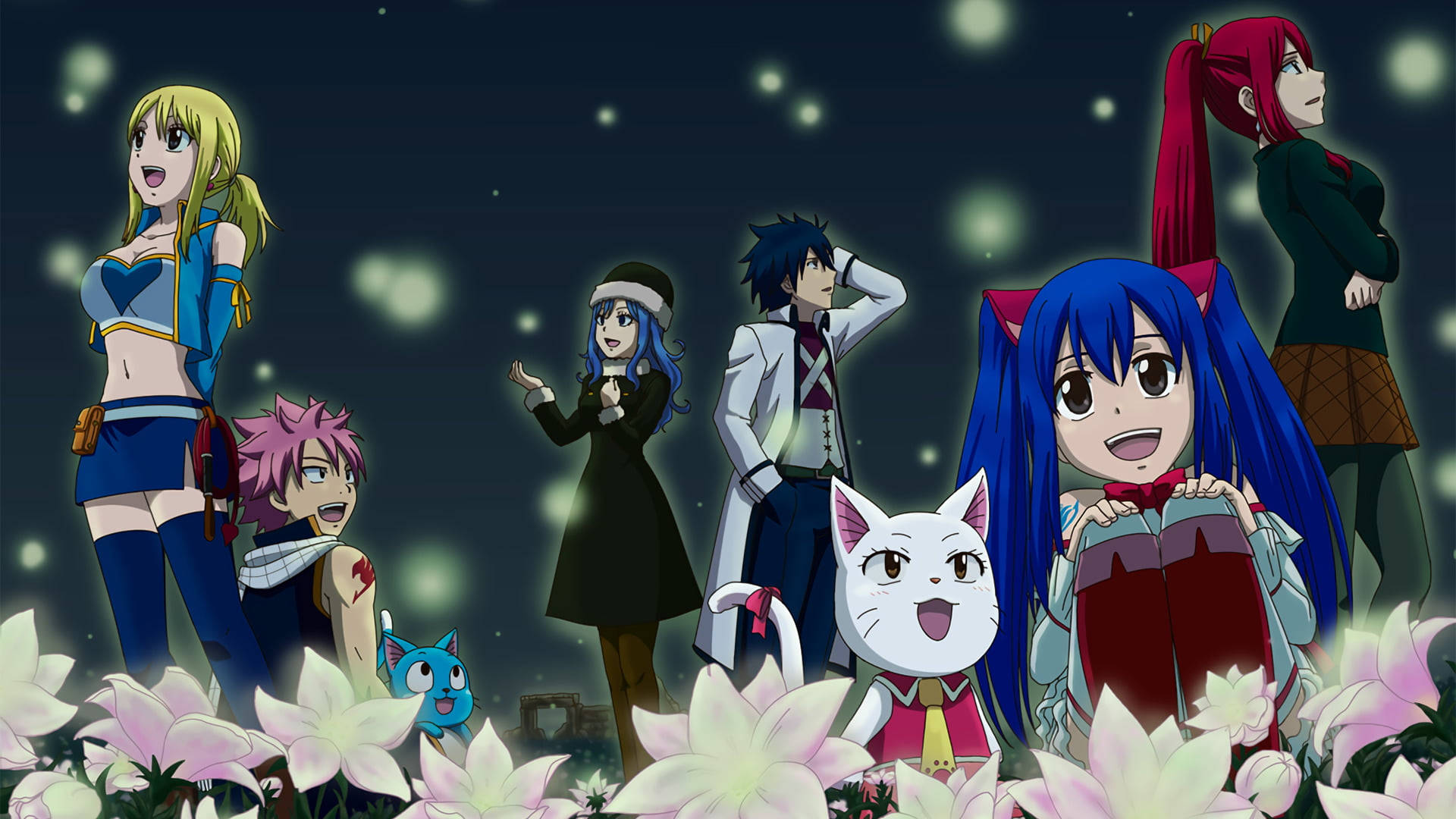 Fairy Tail Characters, glowing orbs, starry night sky, Full HD Desktop Wallpaper