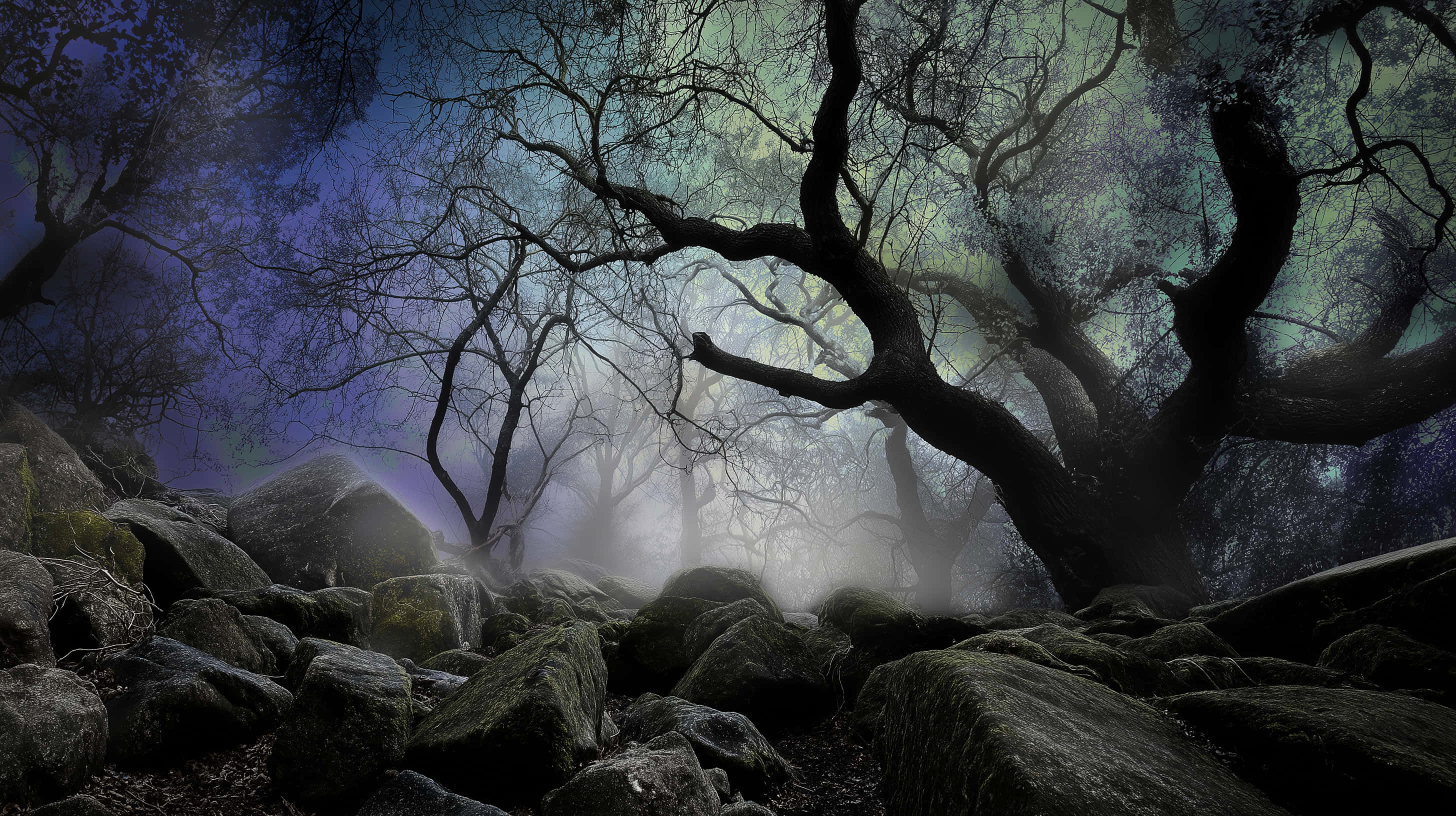 Fairy Tale Forest, misty rocks, twisted trees, 2K Desktop Wallpaper