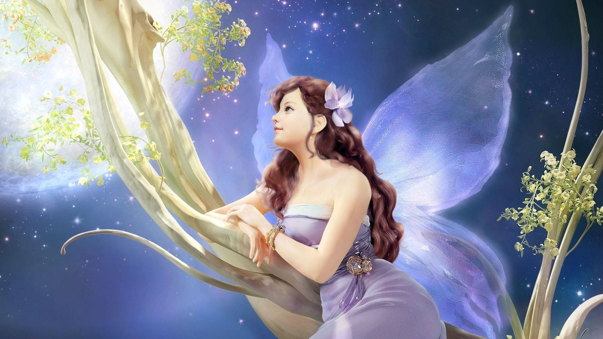 fairy, purple wings, glowing branch, 2K Desktop Wallpaper