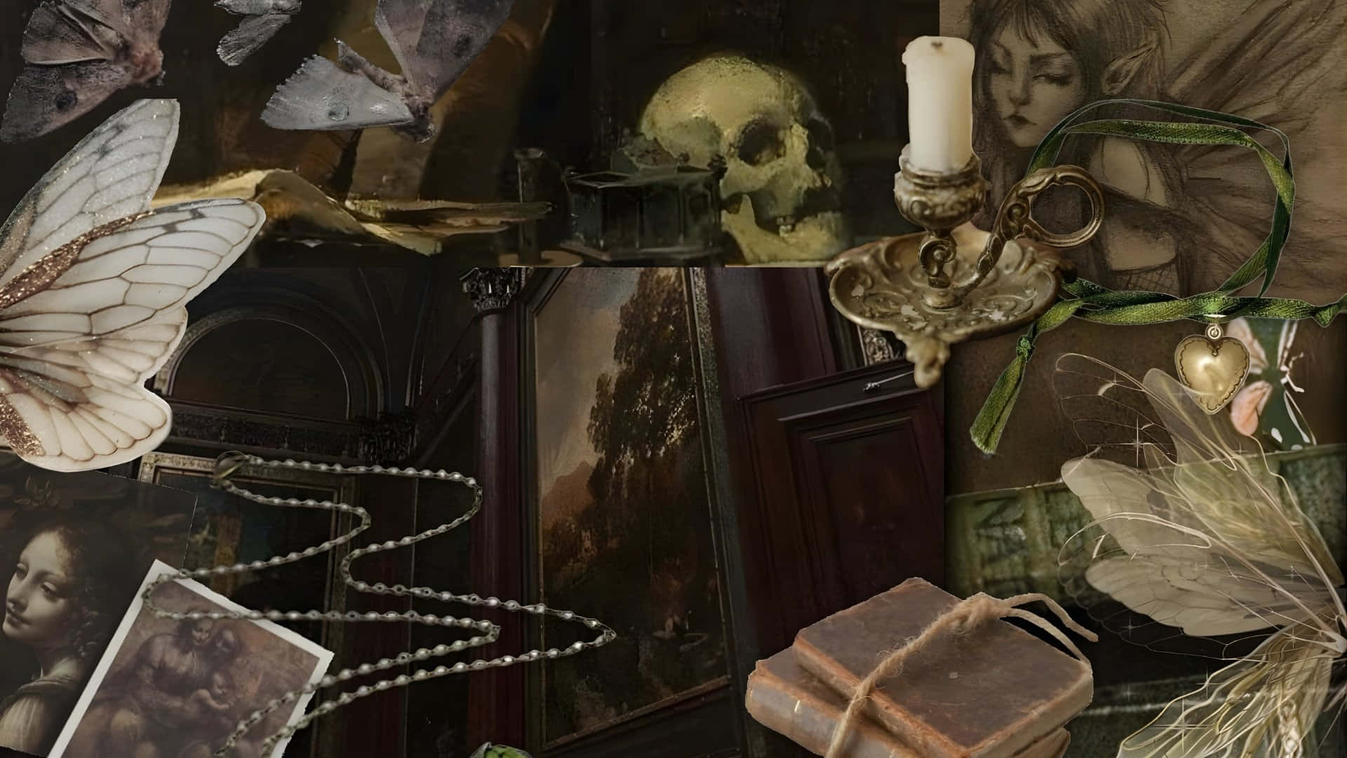 skull candlestick, moths portraits, antique books, Full HD Desktop Wallpaper