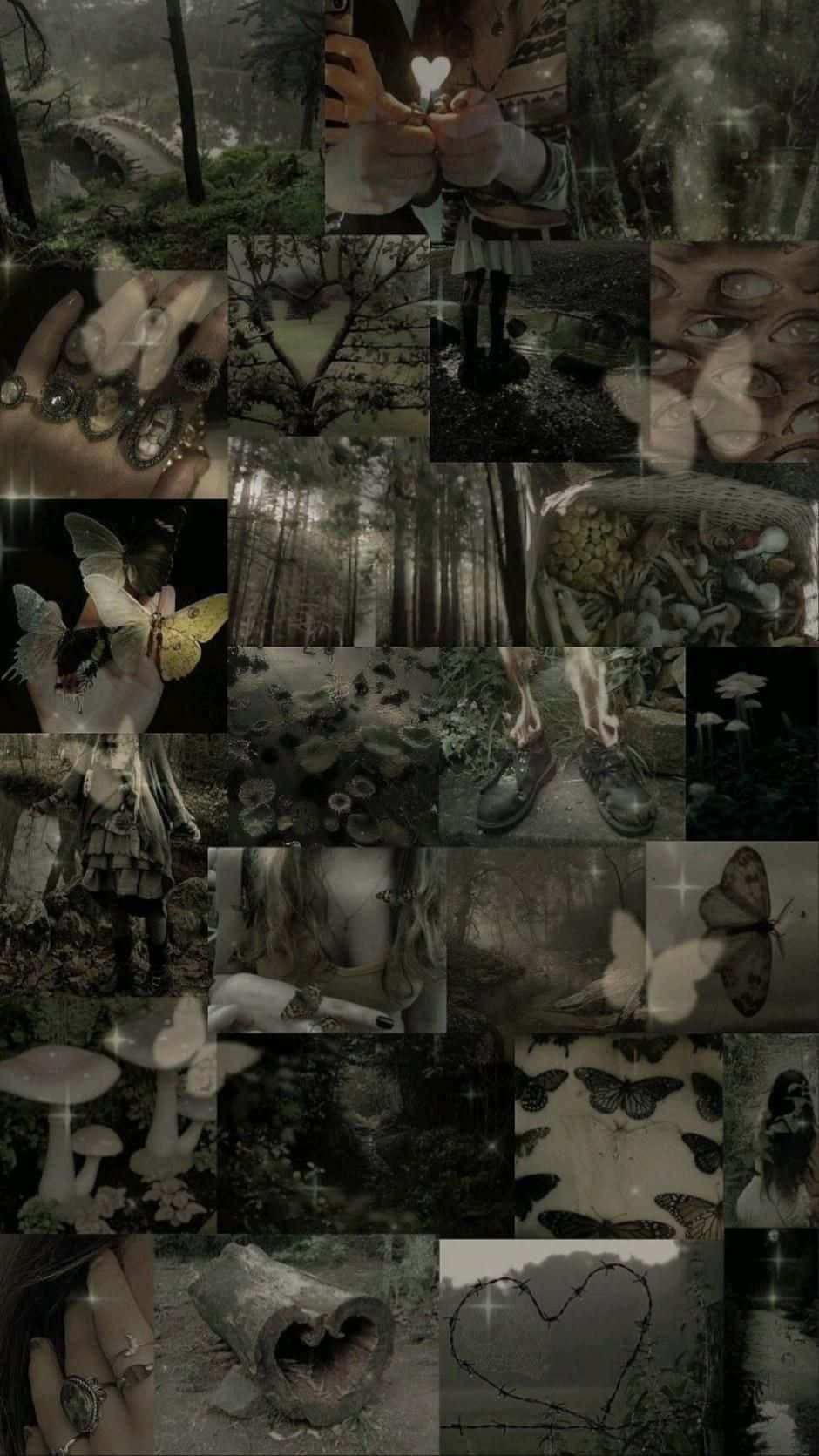 Dark Fairycore, mystical forest, butterflies, HD Phone Wallpaper