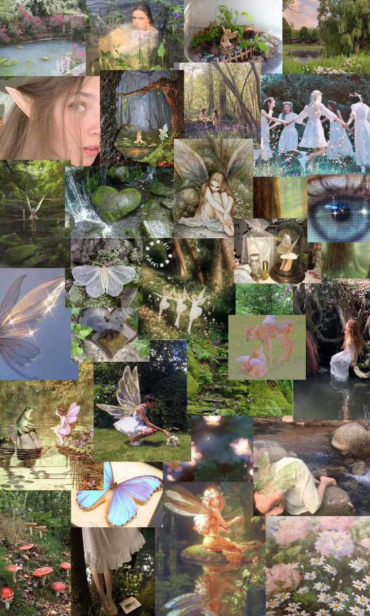 Fairycore Collage Aesthetic, fairies, enchanted forests, SD Phone Wallpaper
