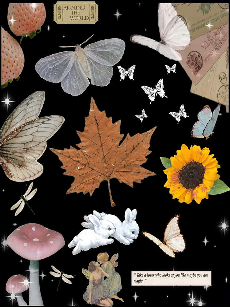 Fairycore Collage Aesthetic, butterflies, mushrooms, SD Phone Wallpaper