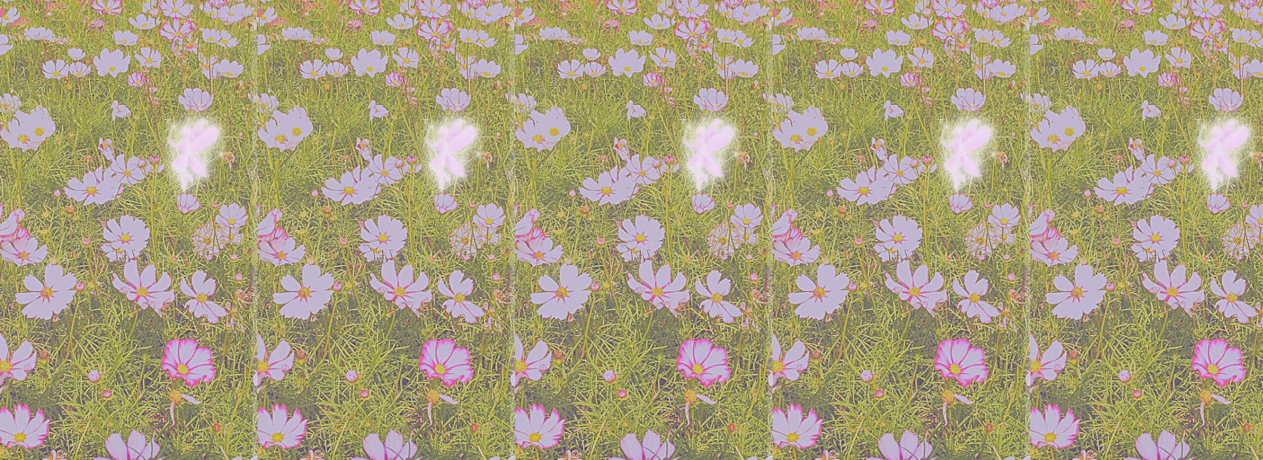 Fairycore, enchanted meadow, pink and white cosmos flowers, 2K Desktop Wallpaper