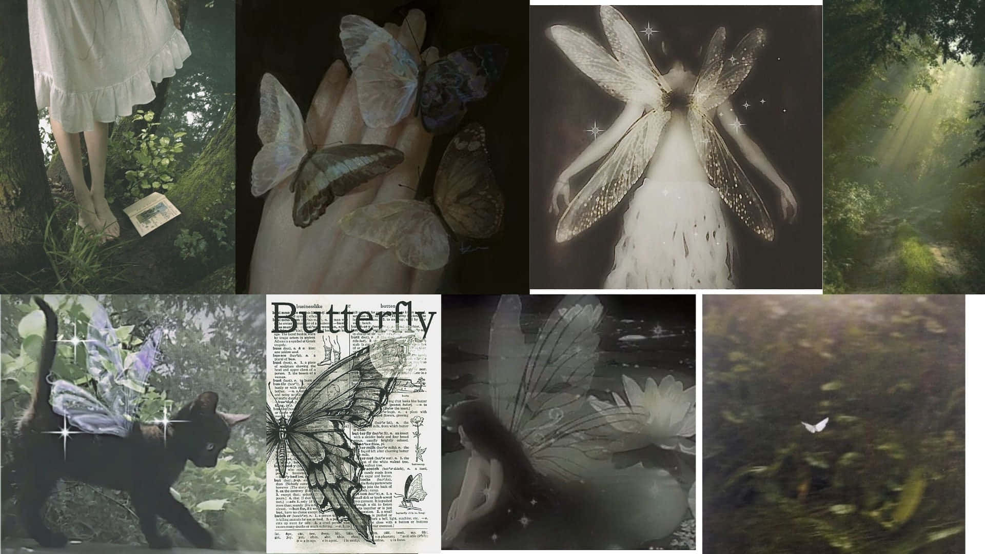 enchanted forest, fairies, butterflies, Full HD Desktop Wallpaper