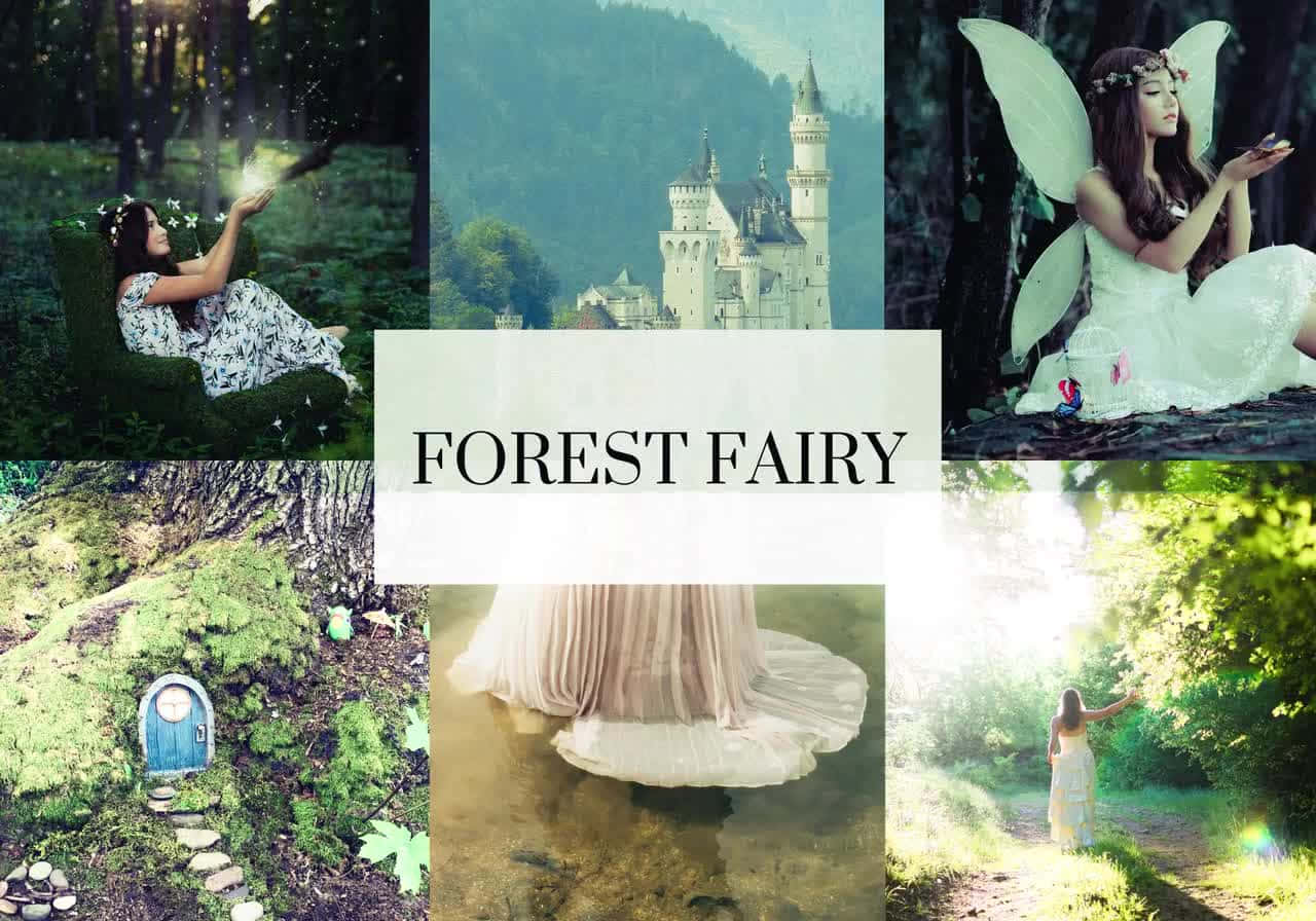 forest fairy, white dresses, wings, HD Desktop Wallpaper