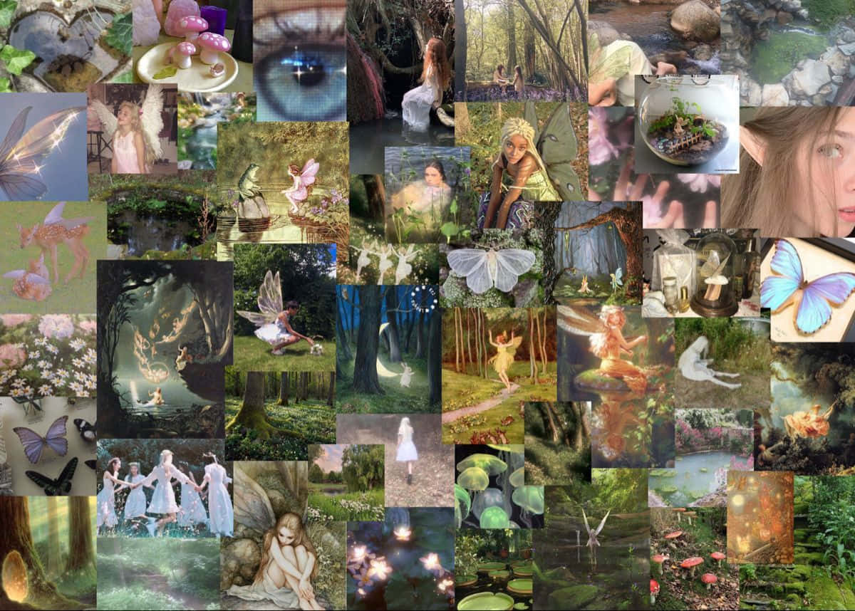 Fairycore, fairies, enchanted forests, SD Desktop Wallpaper