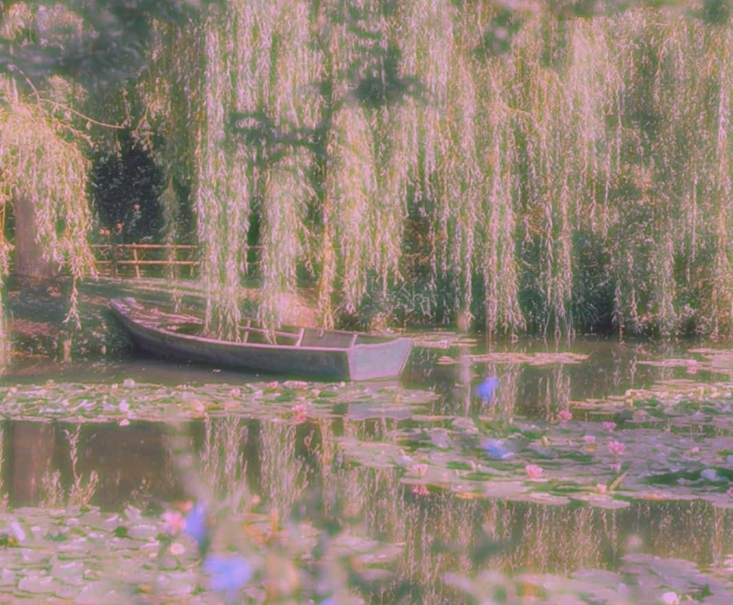 enchanted willow lake canoe, vintage wooden boat, tranquil pond, SD Desktop Wallpaper