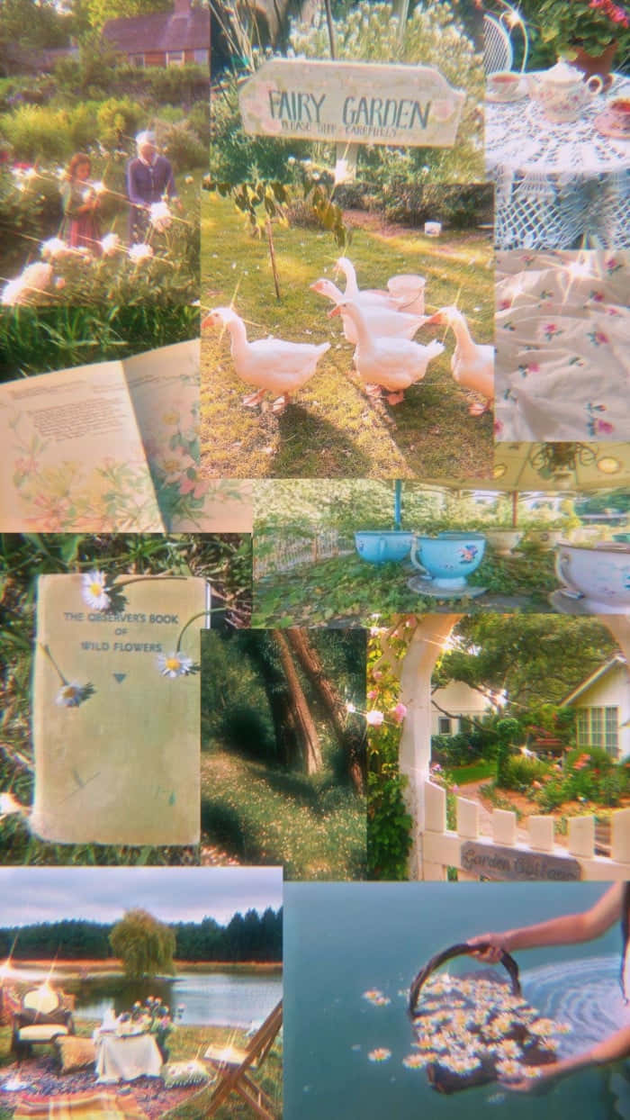 fairy garden, geese tea cups, books, SD Phone Wallpaper