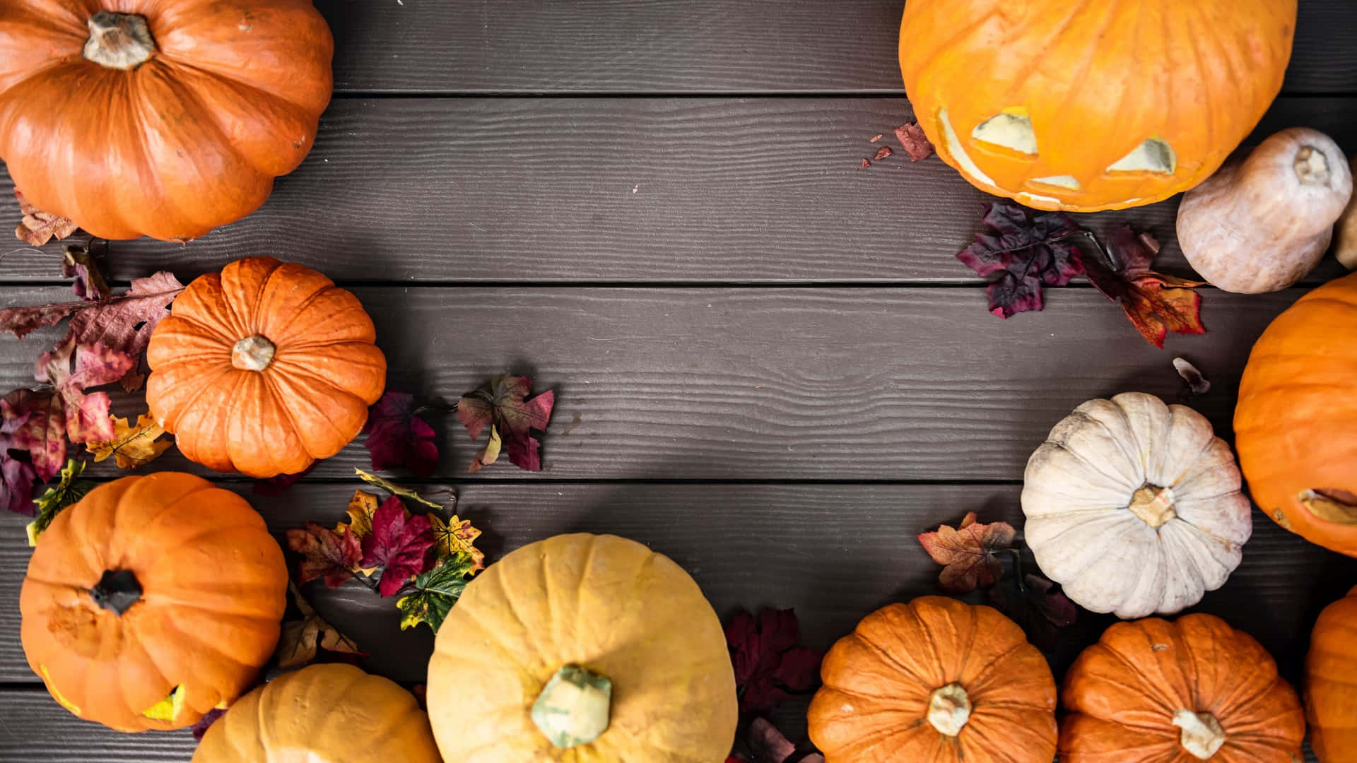Fall Pumpkins, autumn leaves, vibrant orange pumpkins, Full HD Desktop Wallpaper