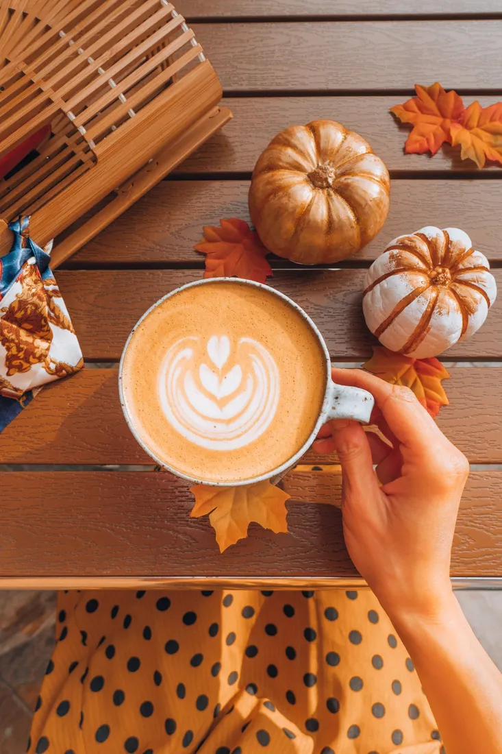 Fall Aesthetic iPhone