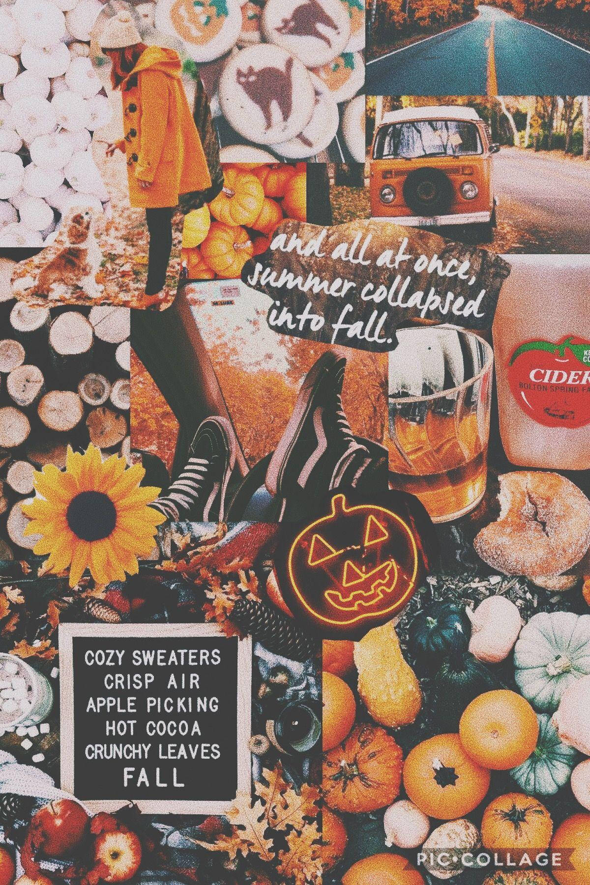 Fall Aesthetic iPhone, pumpkins, cider, HD Phone Wallpaper