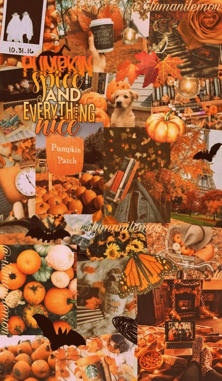 Fall Aesthetic iPhone, pumpkins, leaves, HD Phone Wallpaper