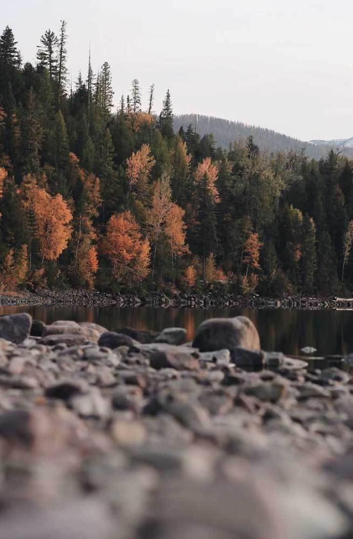 Fall Aesthetic iPhone, rocky pond, trees, SD Phone Wallpaper