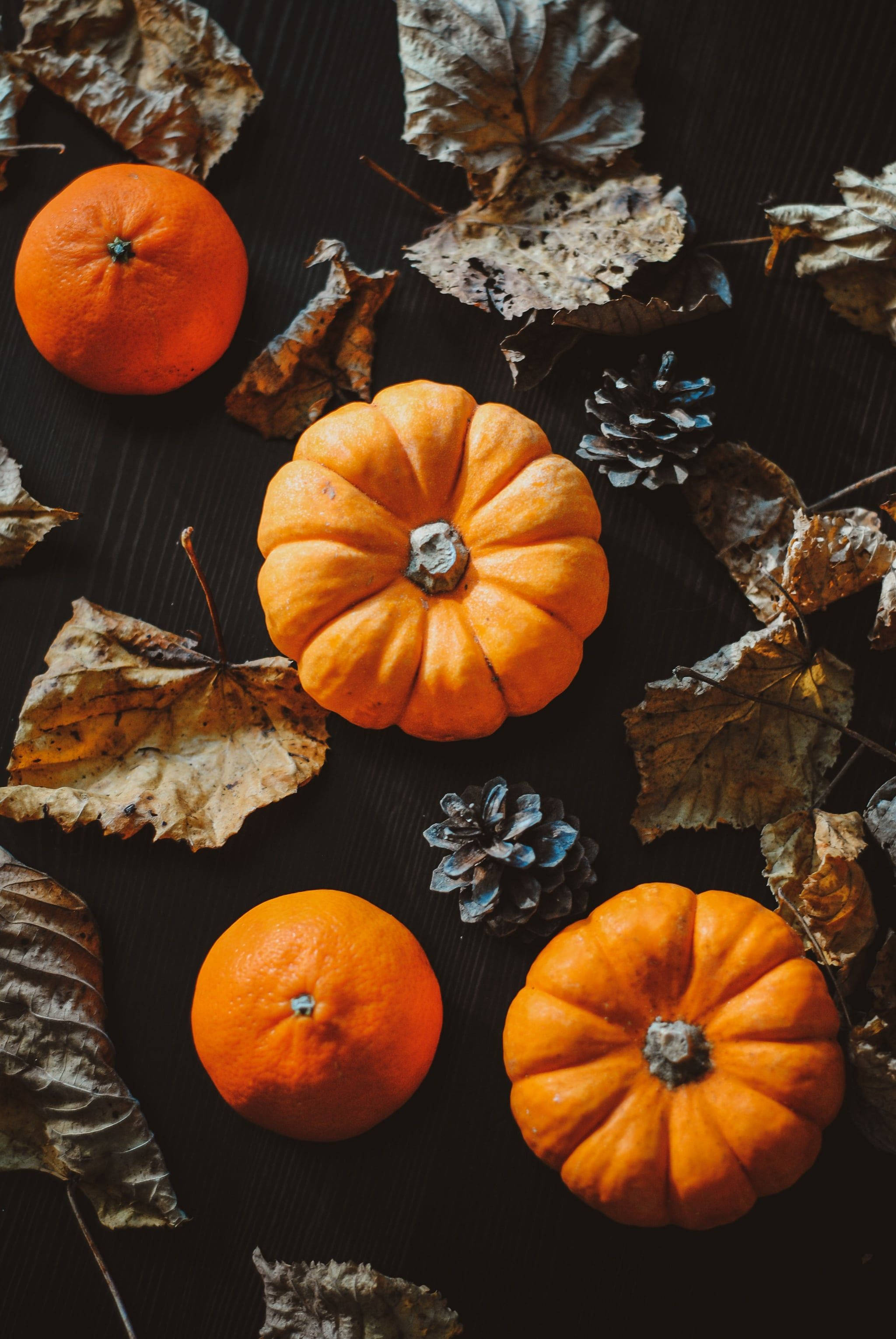 Fall Aesthetic iPhone, pumpkins, autumn leaves, 2K Phone Wallpaper