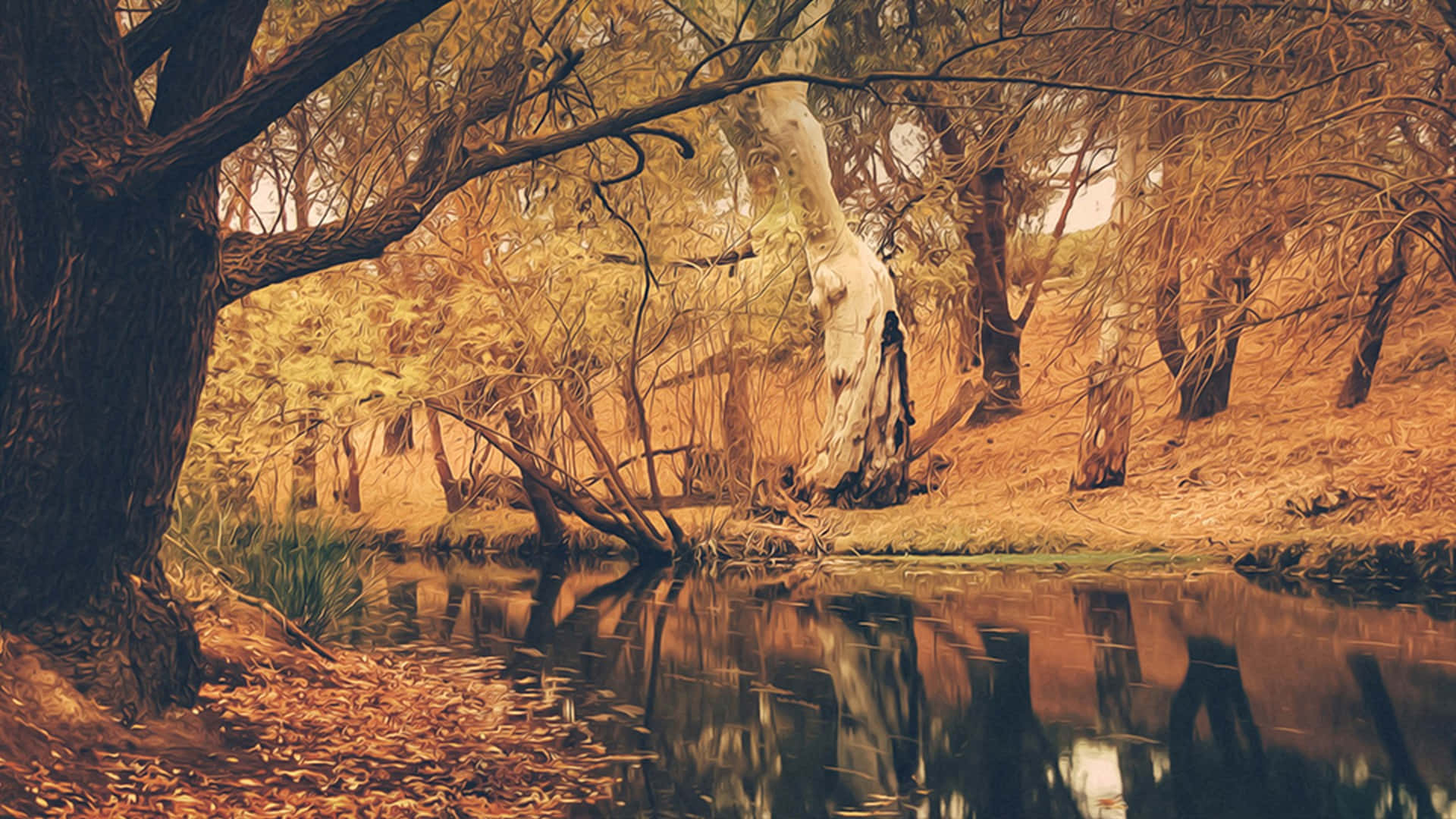Fall Aesthetic Macbook, autumn forest, golden leaves, Full HD Desktop Wallpaper