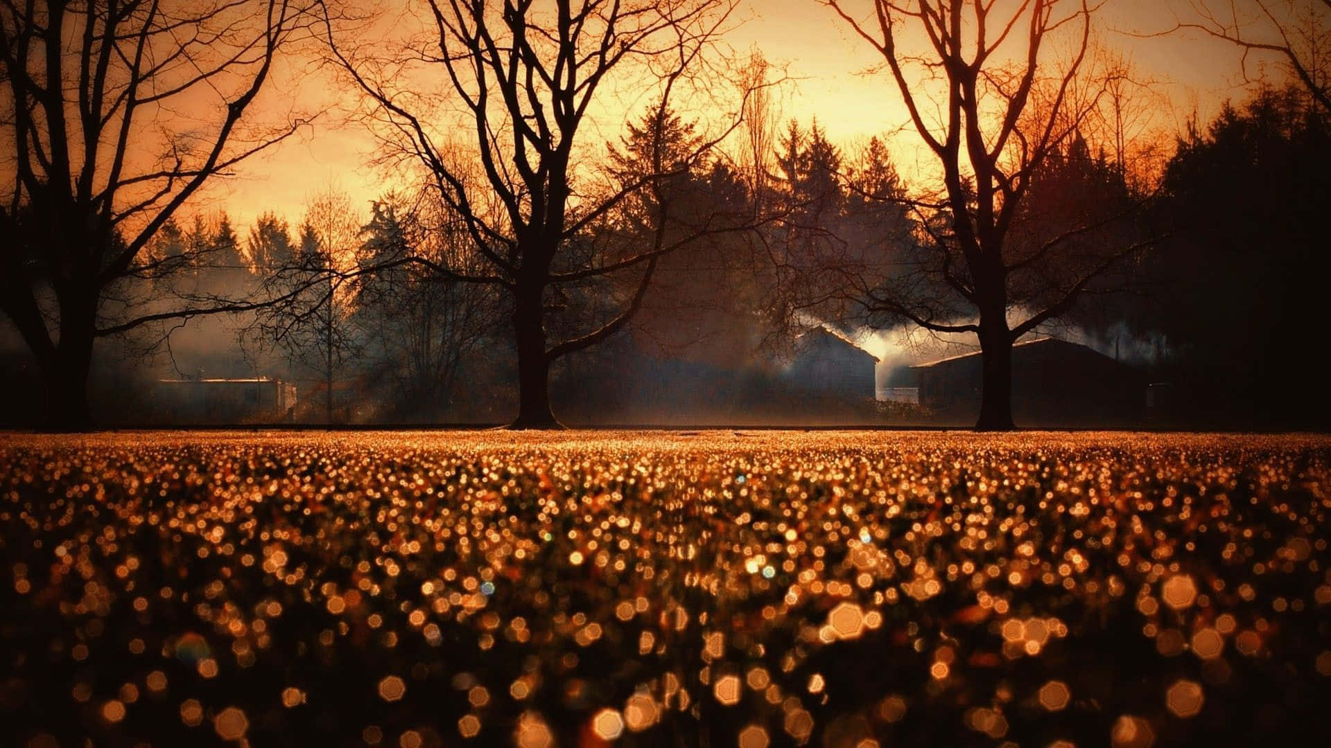 Fall Aesthetic Macbook, golden bokeh lights, sunset, Full HD Desktop Wallpaper