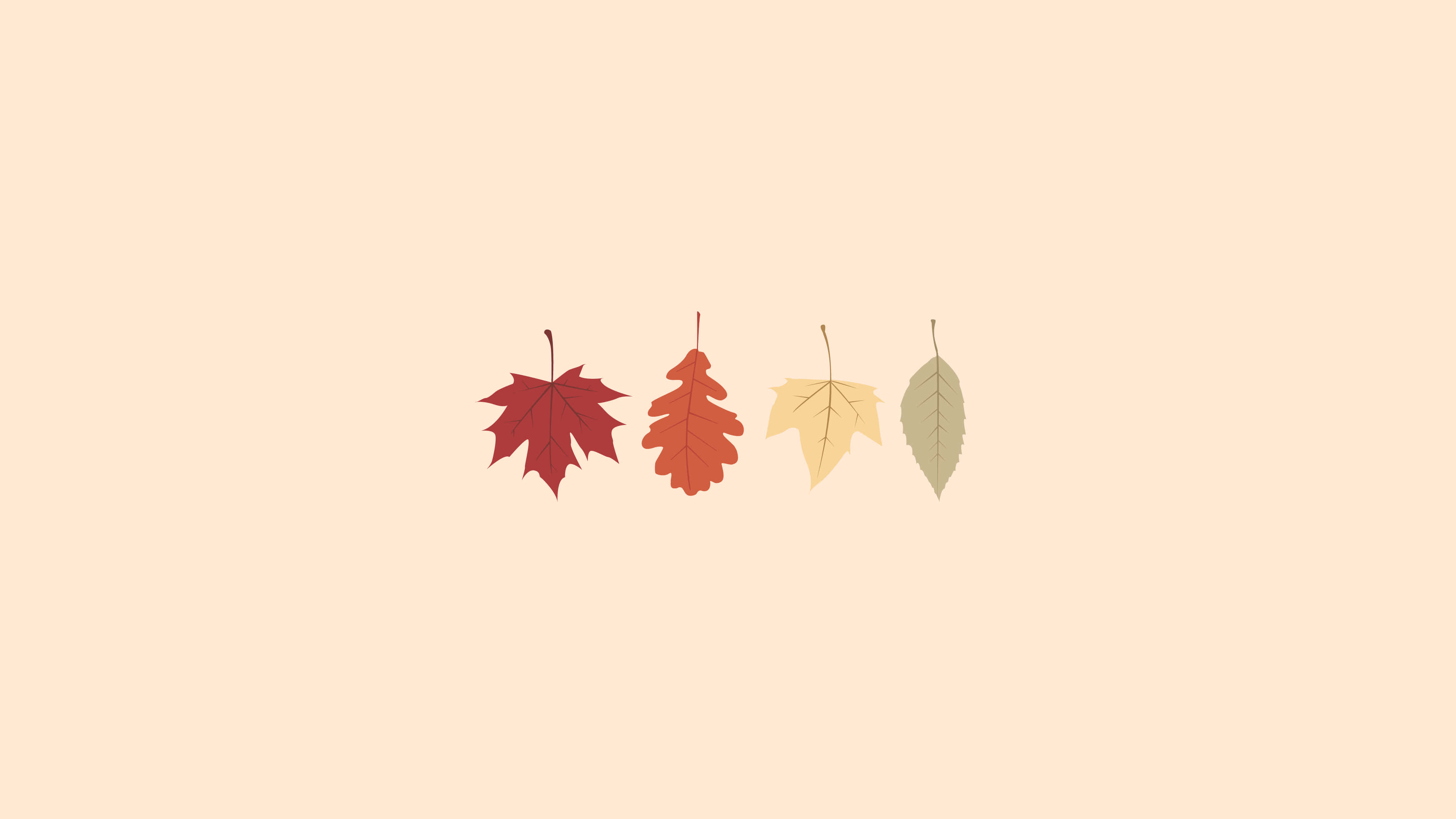 Fall Aesthetic Macbook, red, orange, 4K Desktop Wallpaper