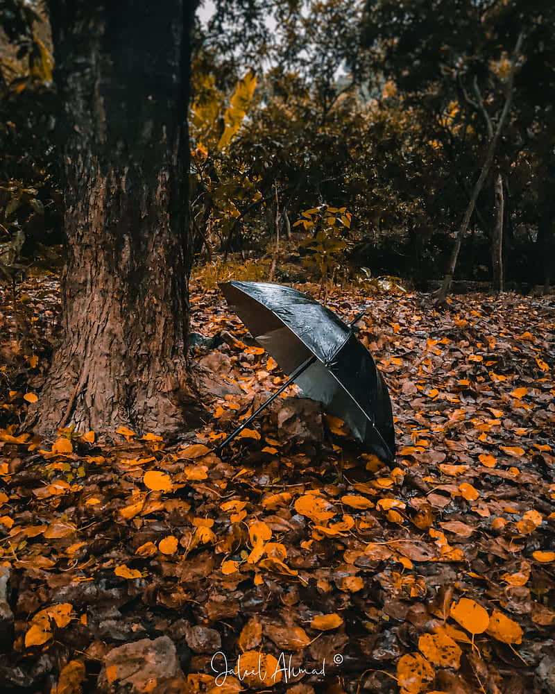 Fall Aesthetic Macbook, black umbrella, vibrant orange and brown autumn leaves, SD Phone Wallpaper