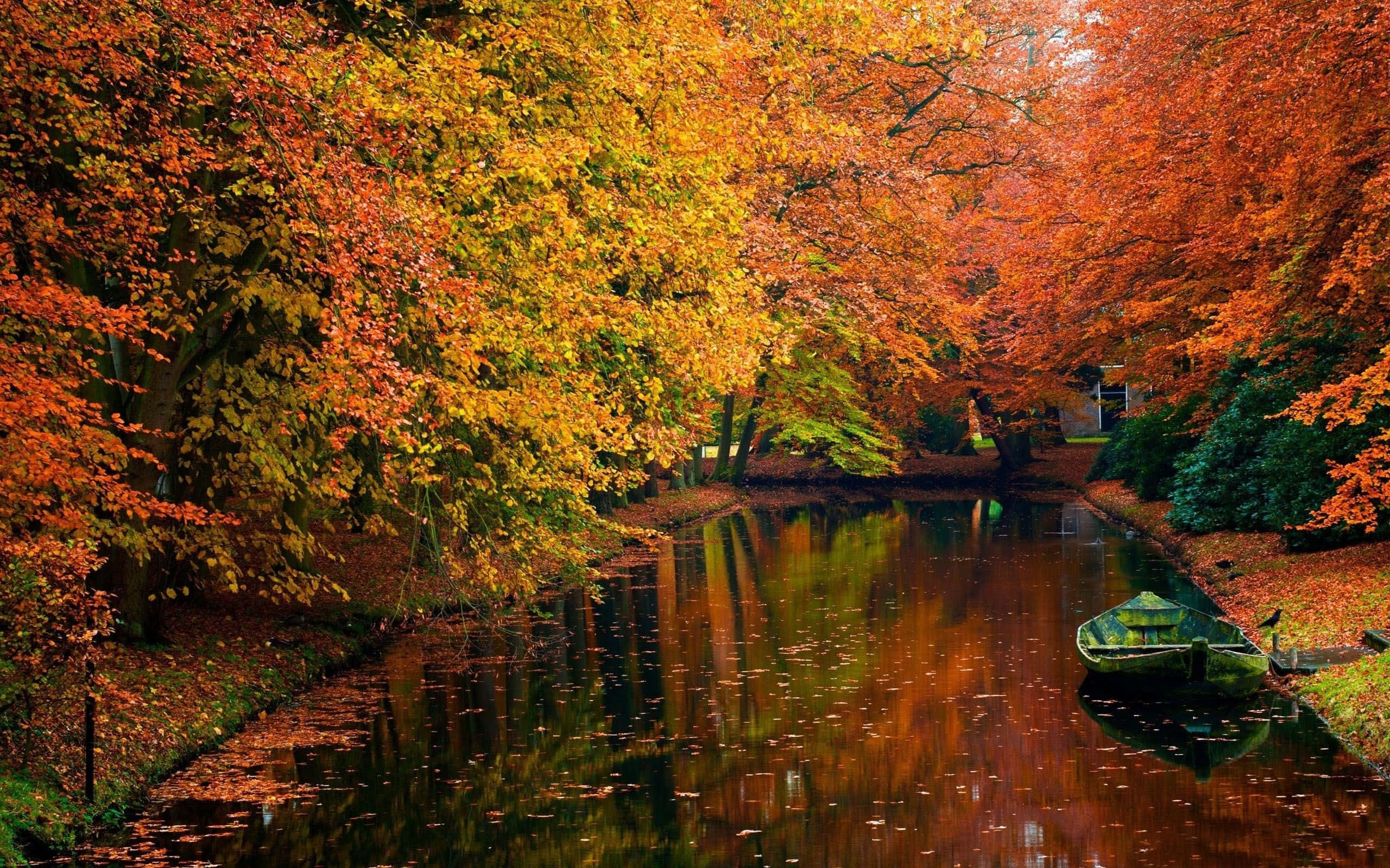 Fall Aesthetic Macbook, autumn canal, vibrant orange and yellow trees, 2K Desktop Wallpaper