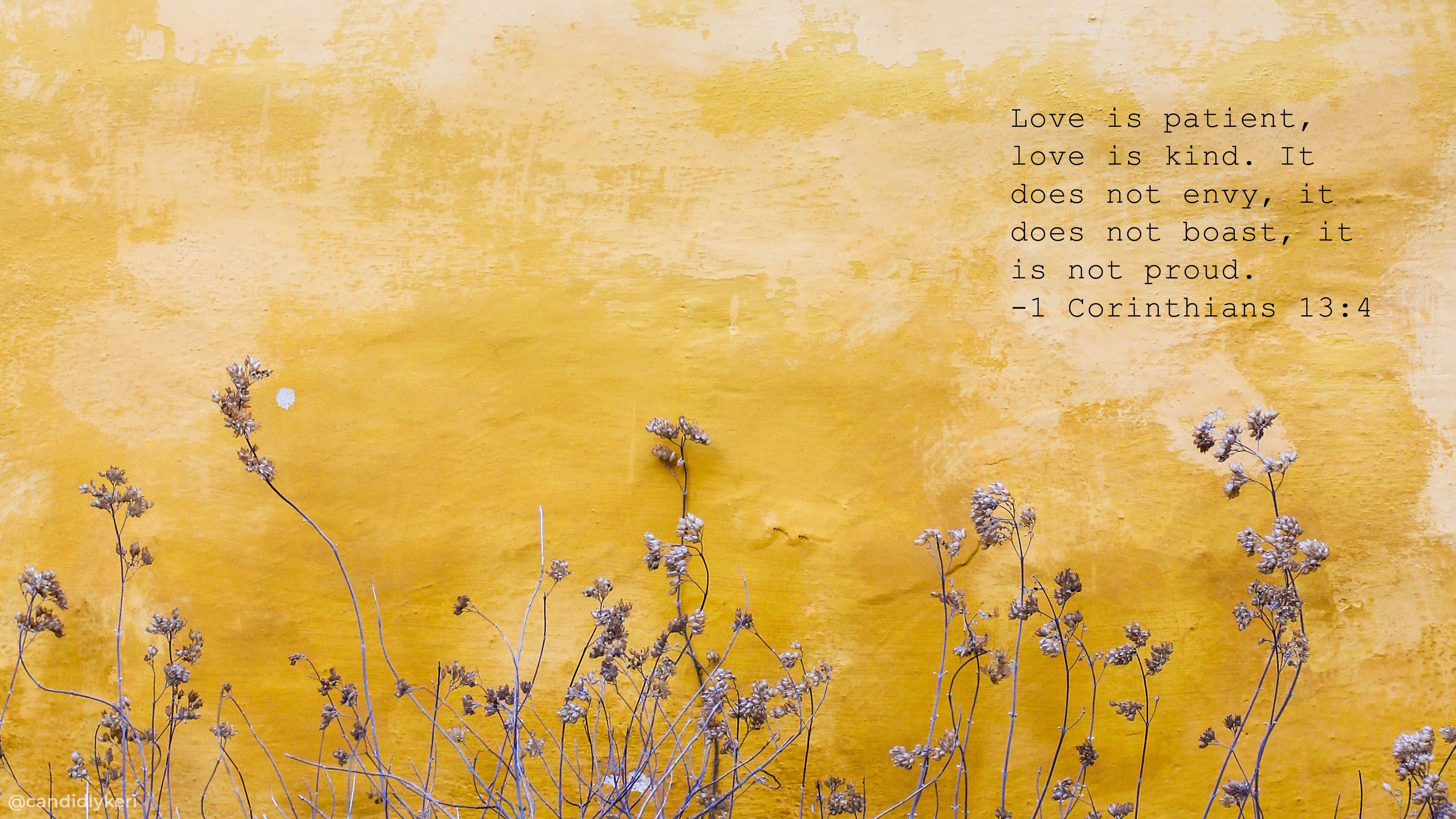 mustard-yellow wall, dried wildflowers, biblical quote, 5K Desktop Wallpaper