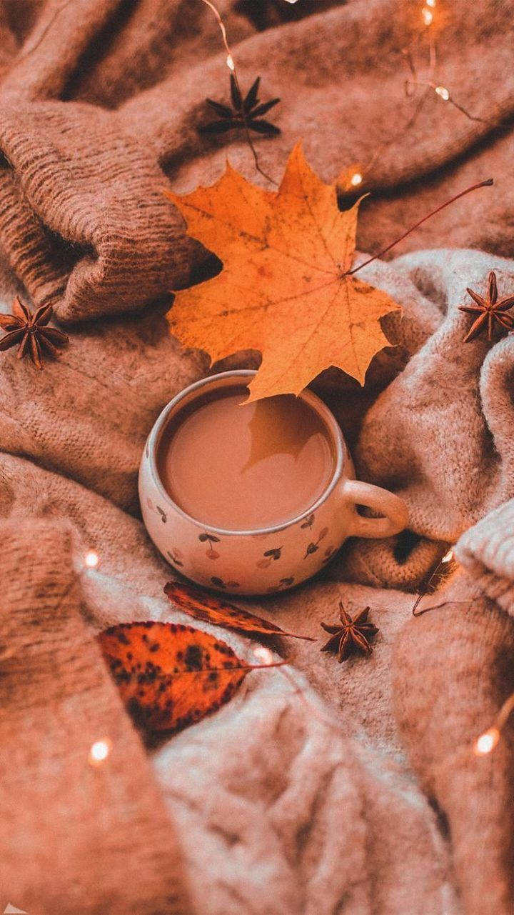 iPhone, autumn leaves, star anise, HD Phone Wallpaper