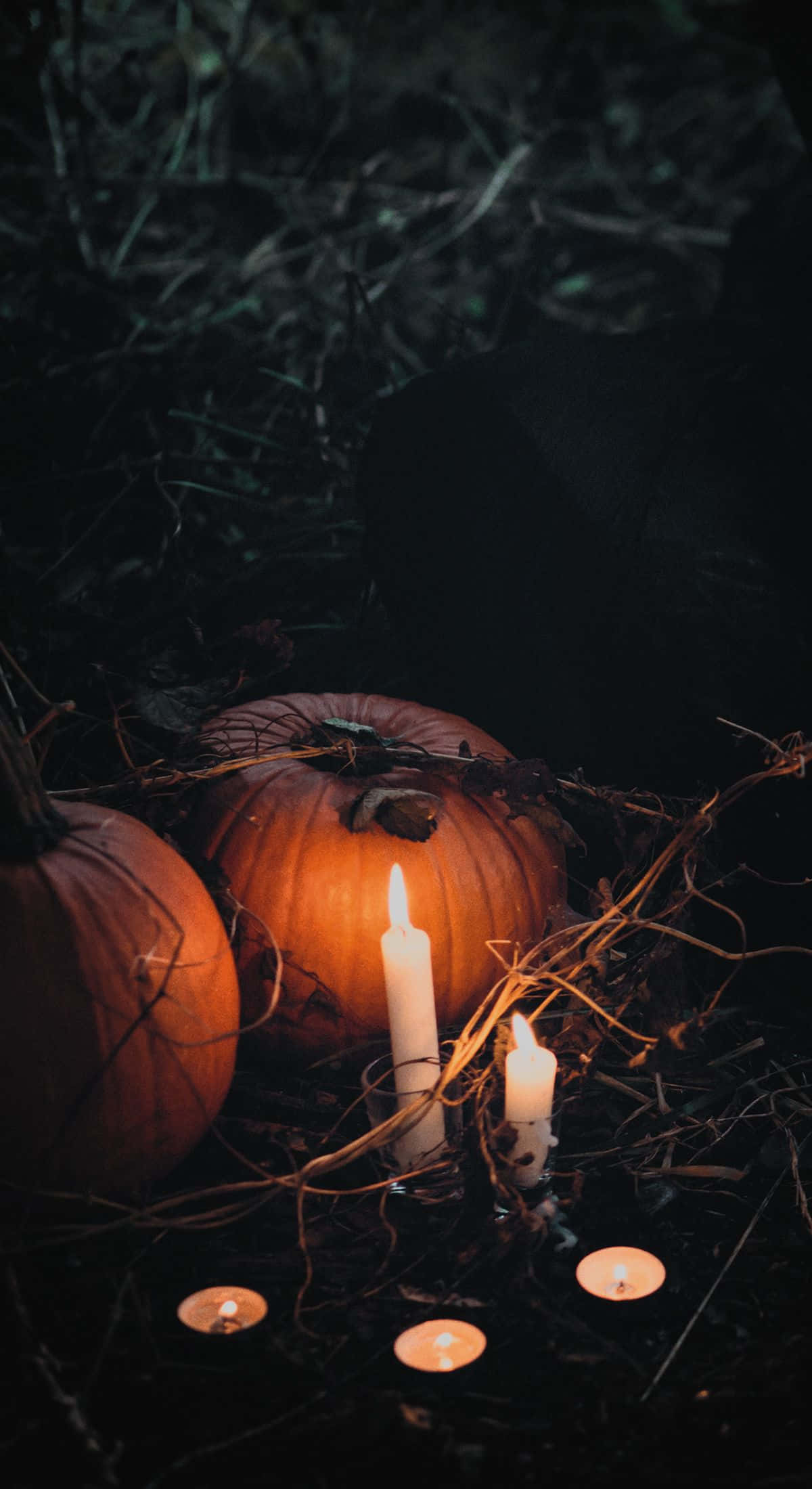 Fall Halloween iPhone, candles, pumpkins, Full HD Phone Wallpaper